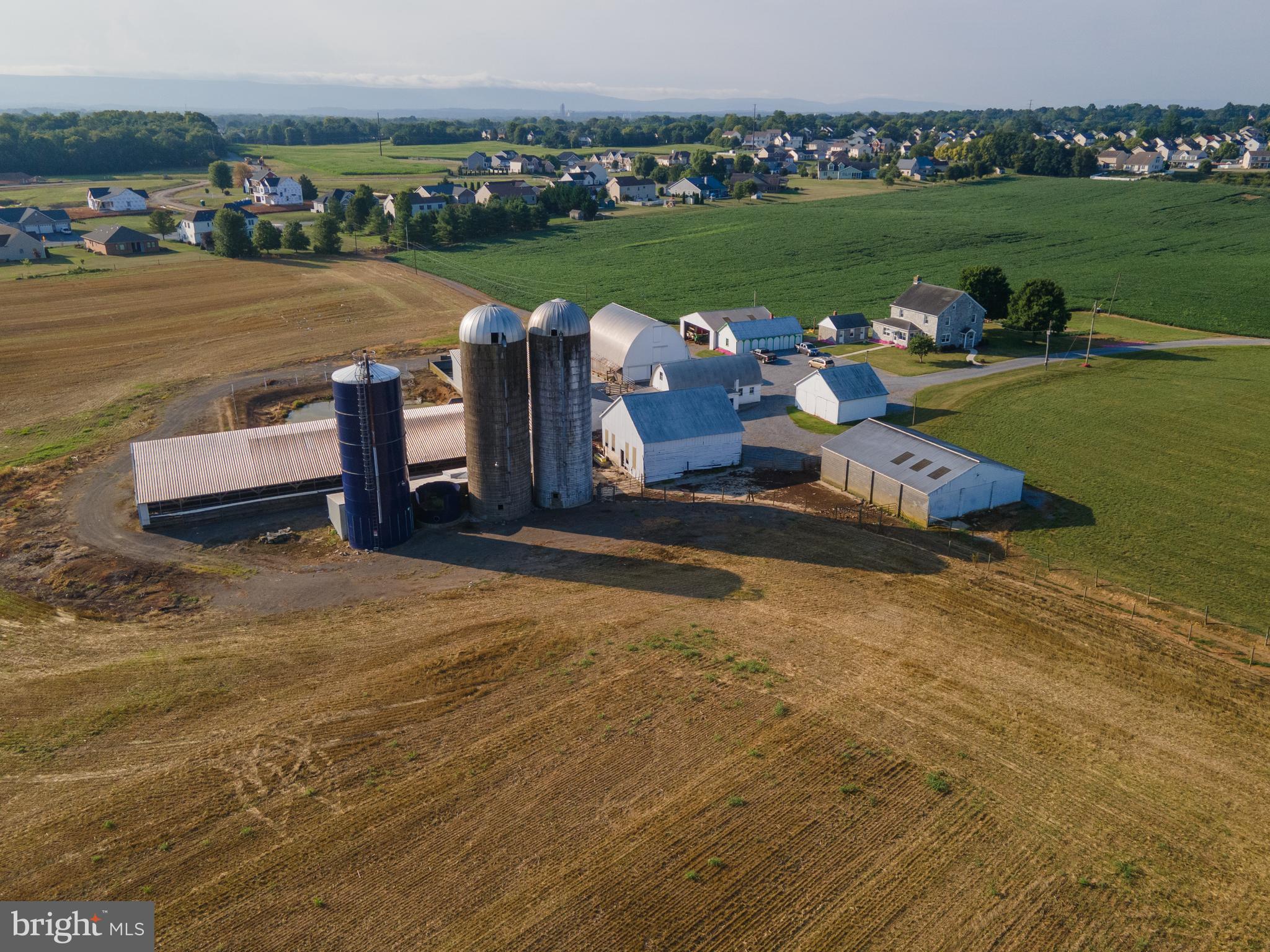 NONE AVAILABLE - Farm