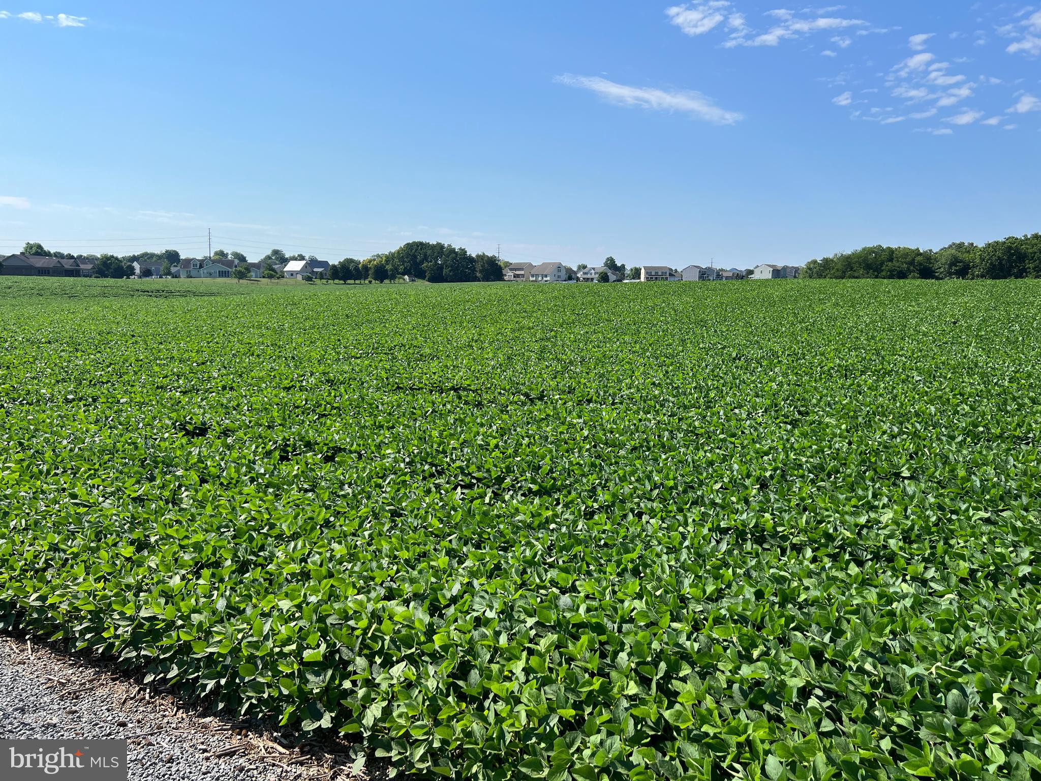 NONE AVAILABLE - Farm