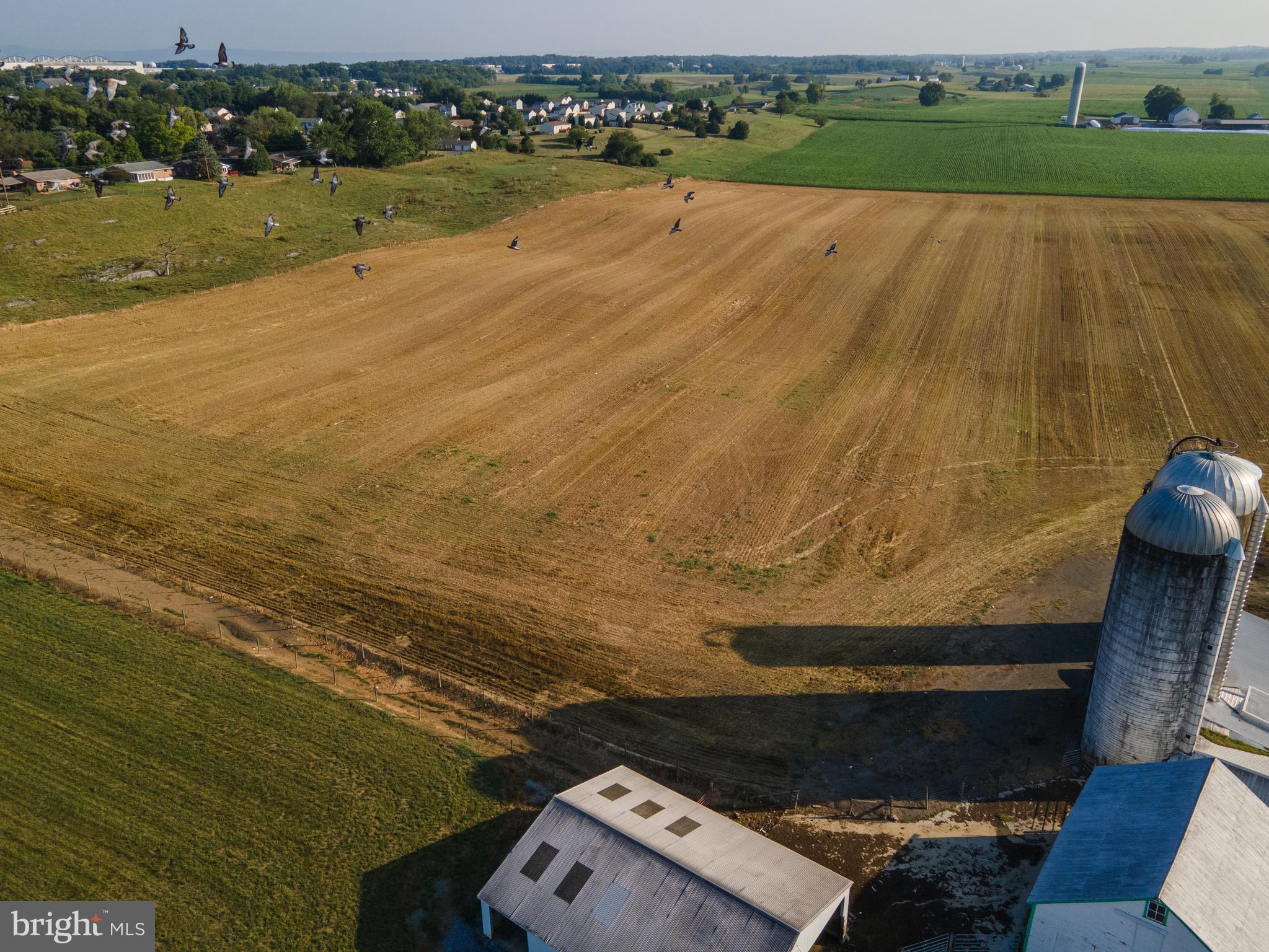 NONE AVAILABLE - Farm