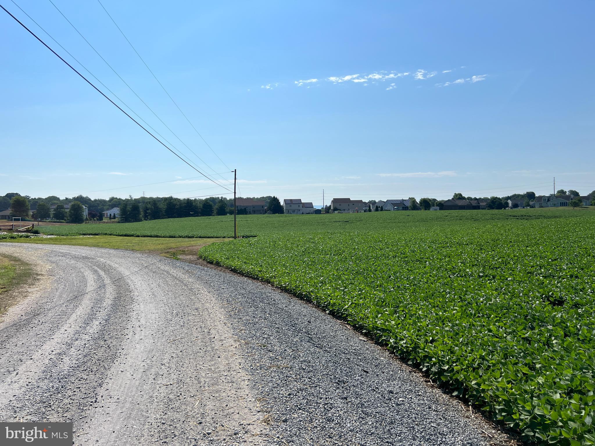 NONE AVAILABLE - Farm