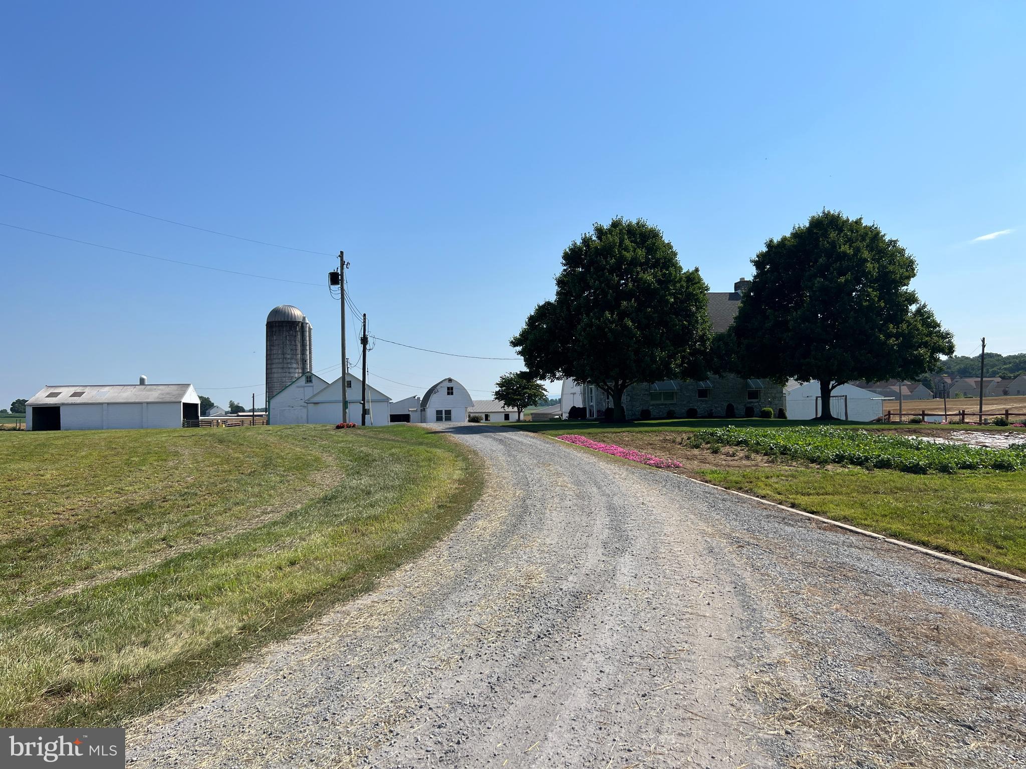 NONE AVAILABLE - Farm