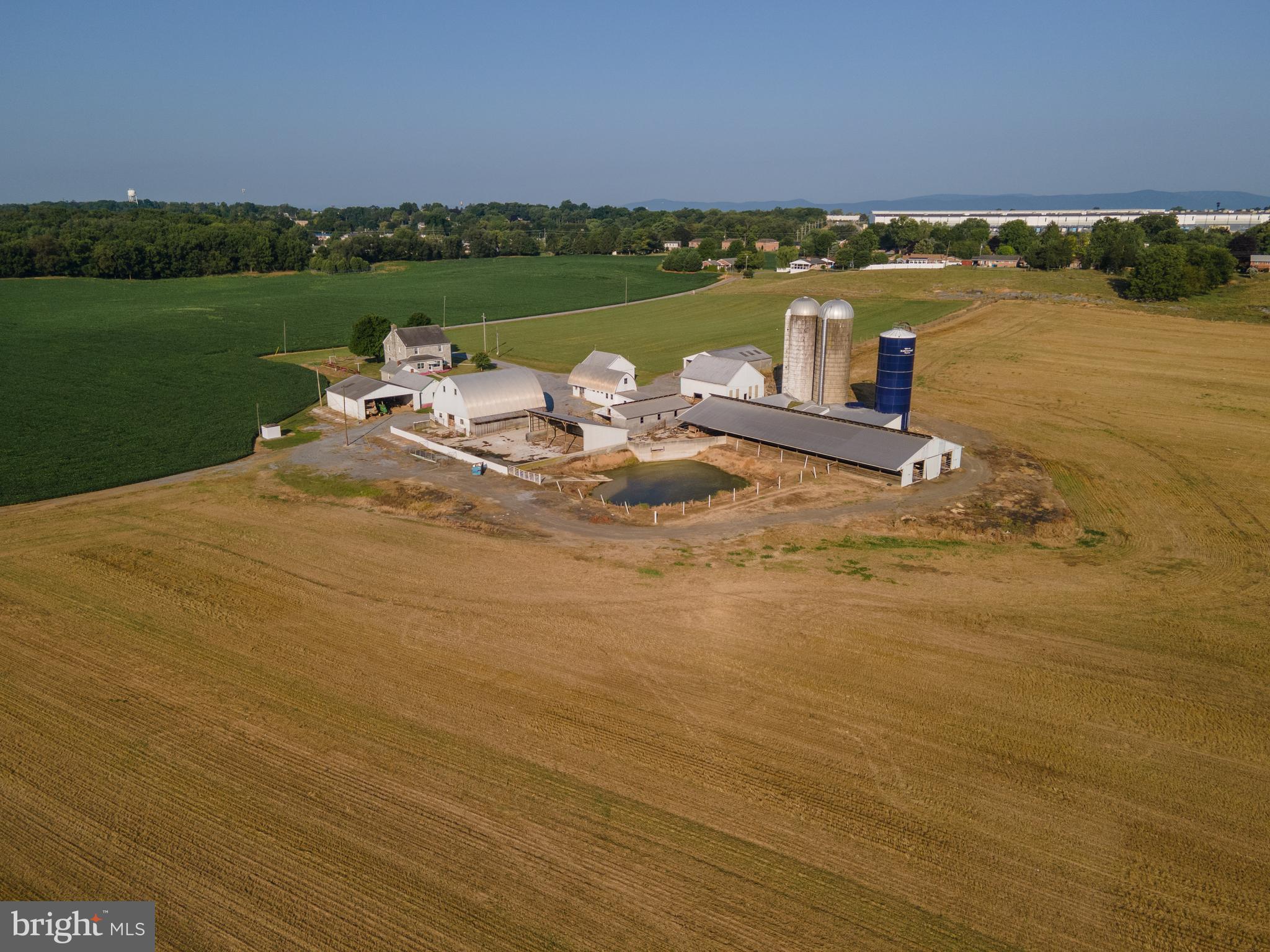 NONE AVAILABLE - Farm