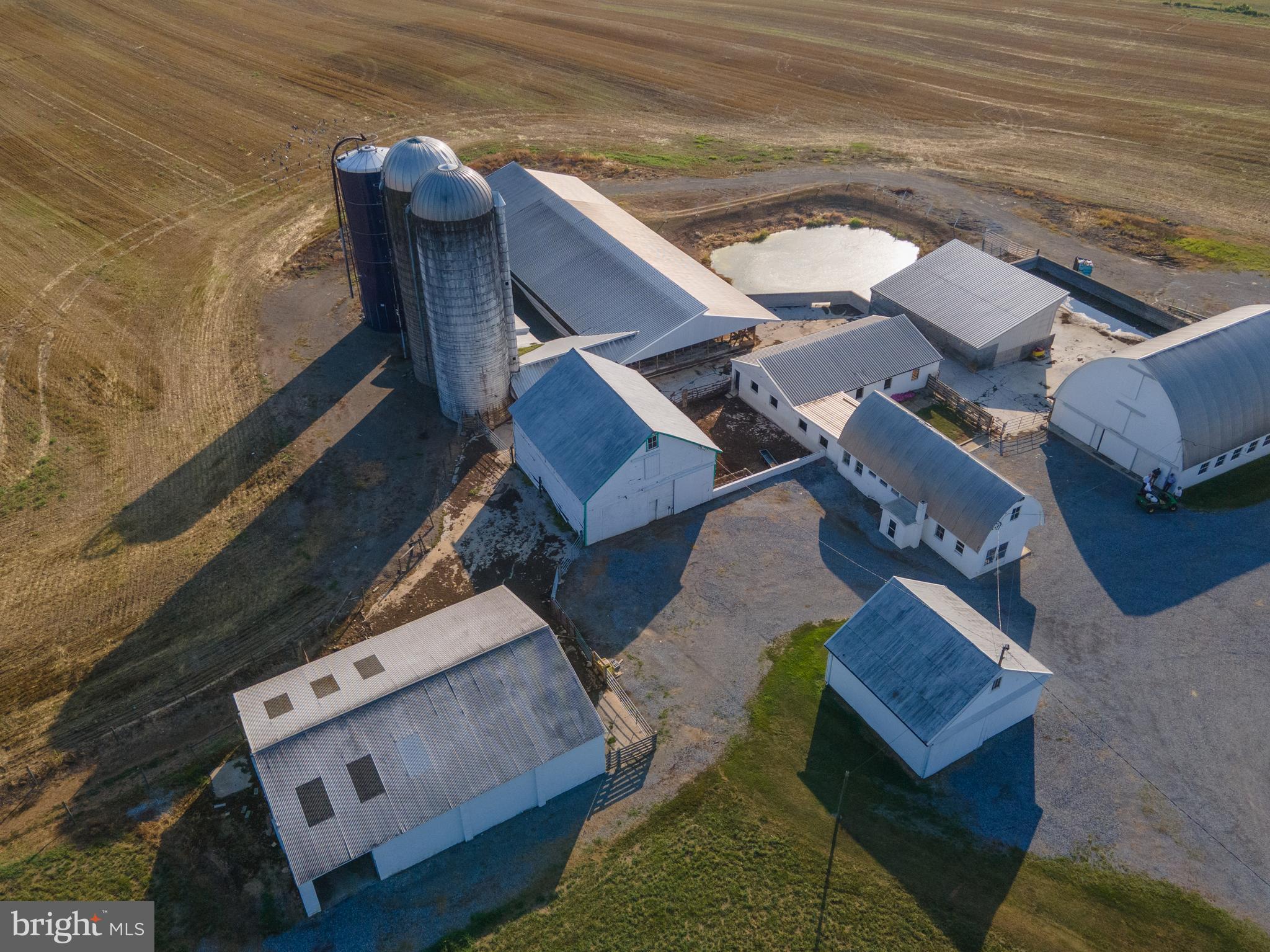 NONE AVAILABLE - Farm