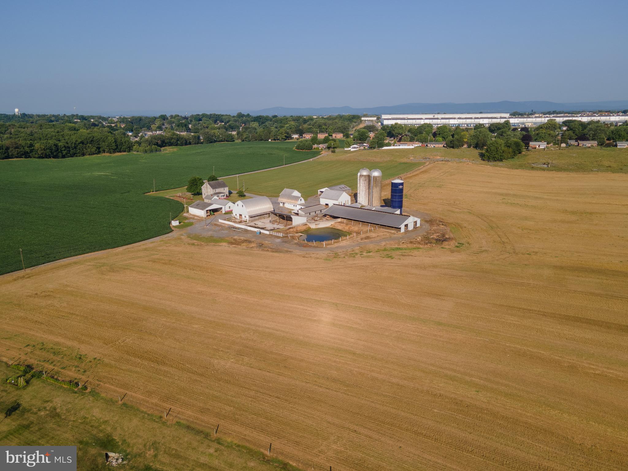 NONE AVAILABLE - Farm