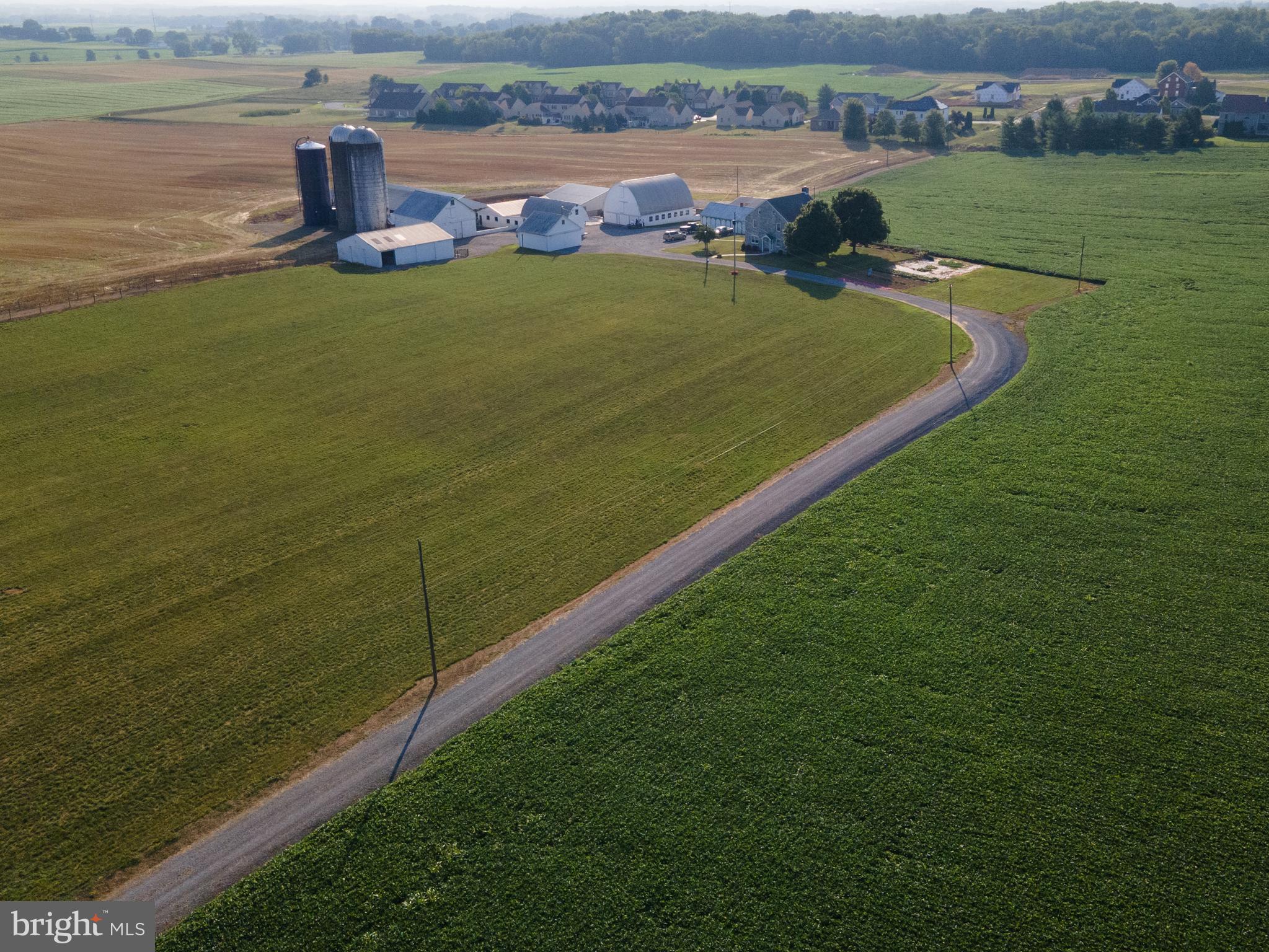 NONE AVAILABLE - Farm