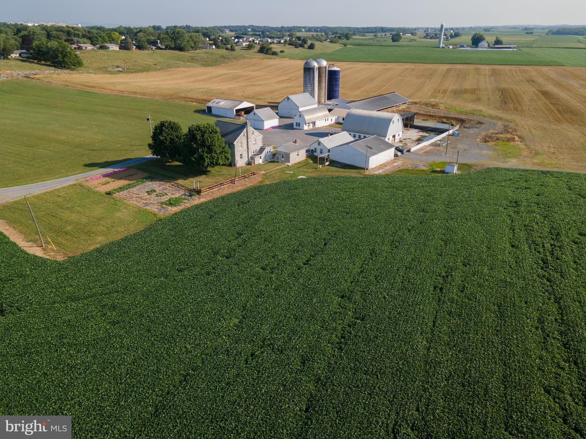 NONE AVAILABLE - Farm