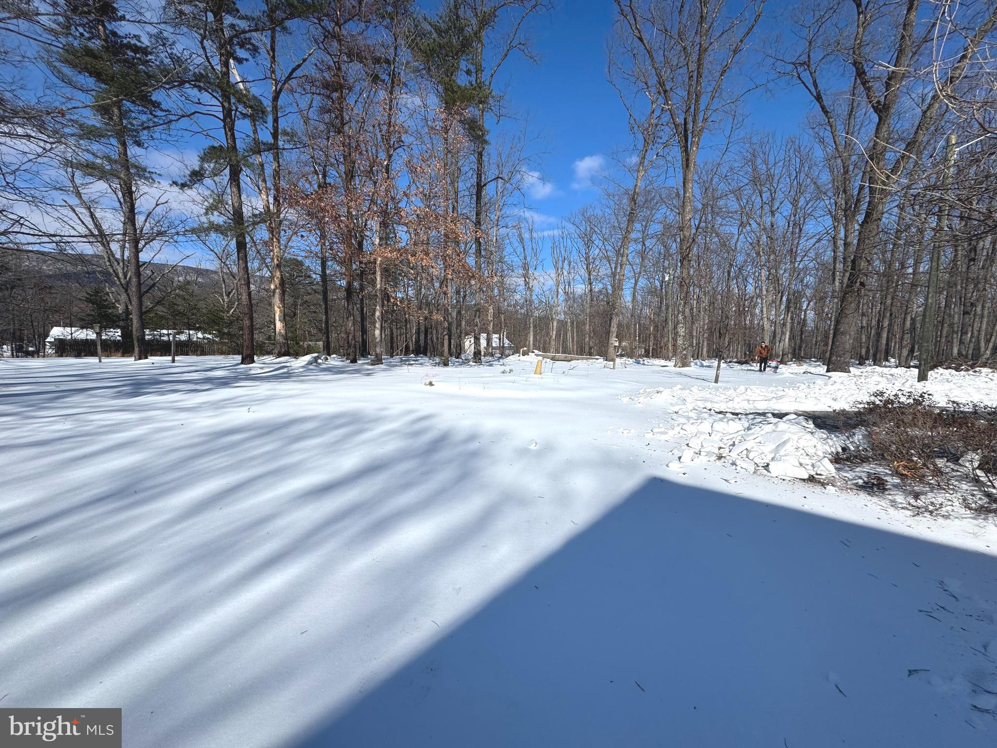 4403 BACK MOUNTAIN ROAD