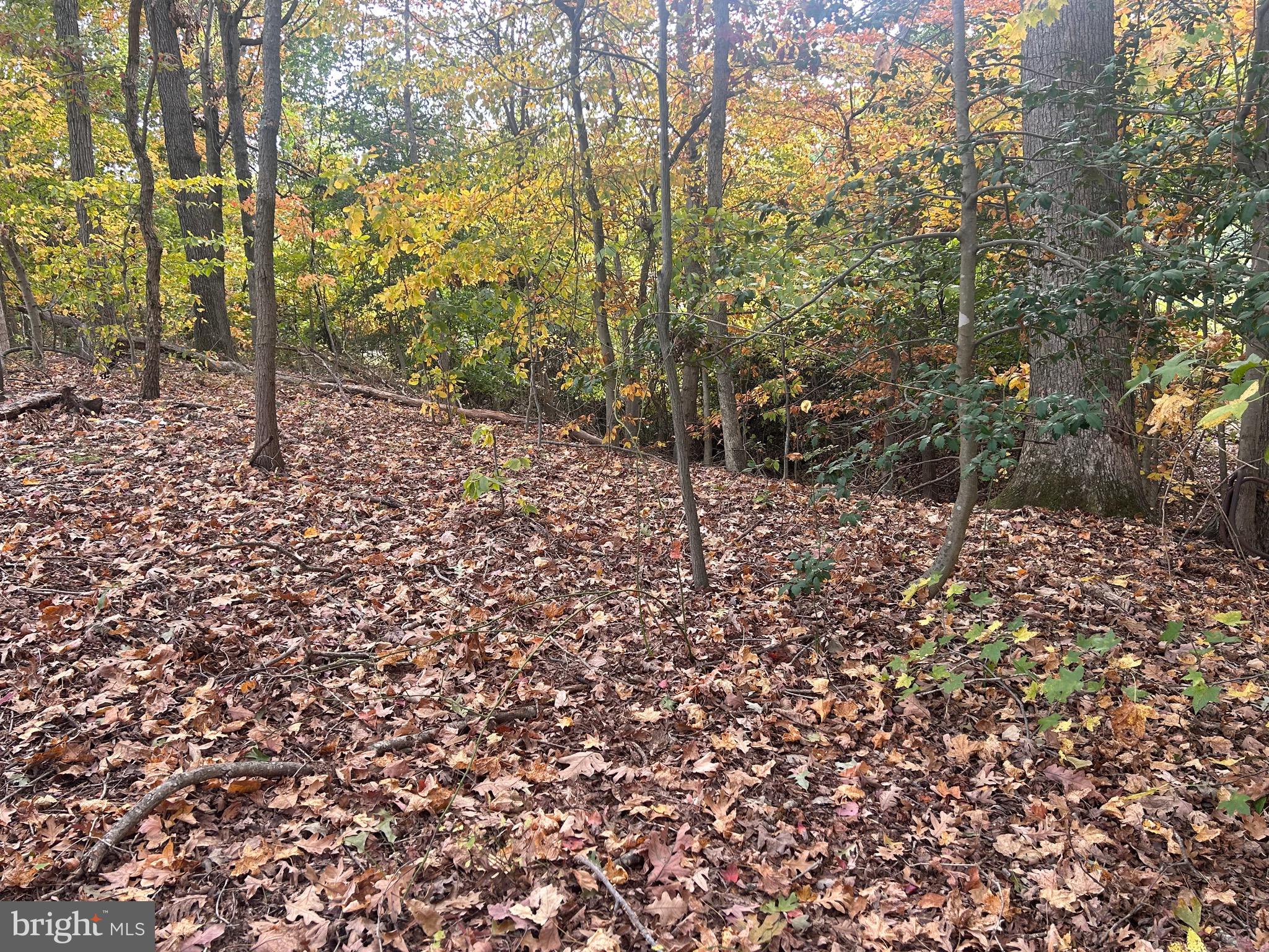 BOCK ROAD