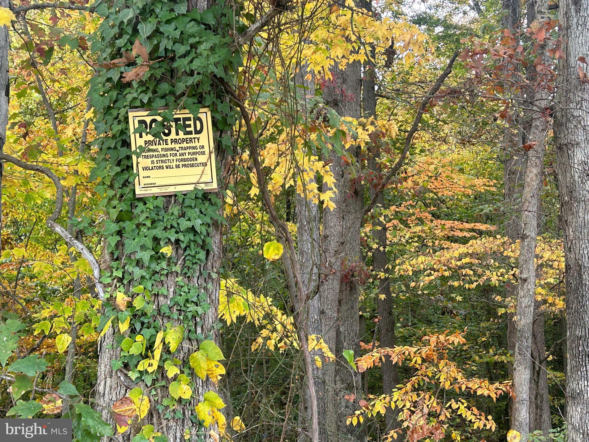 BOCK ROAD