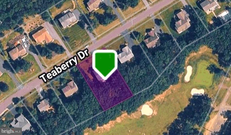 44 TEABERRY DRIVE