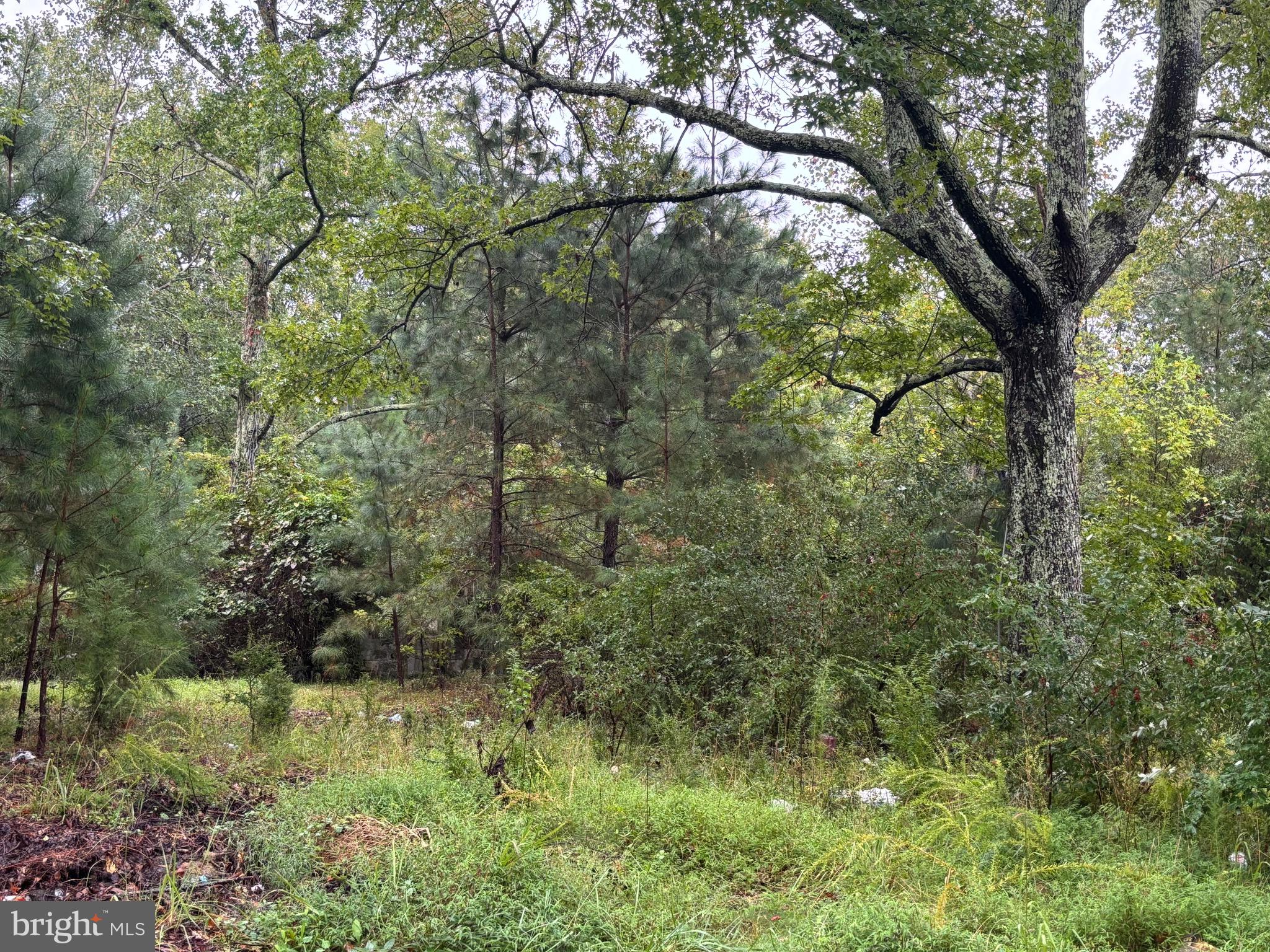 NONE AVAILABLE - Land