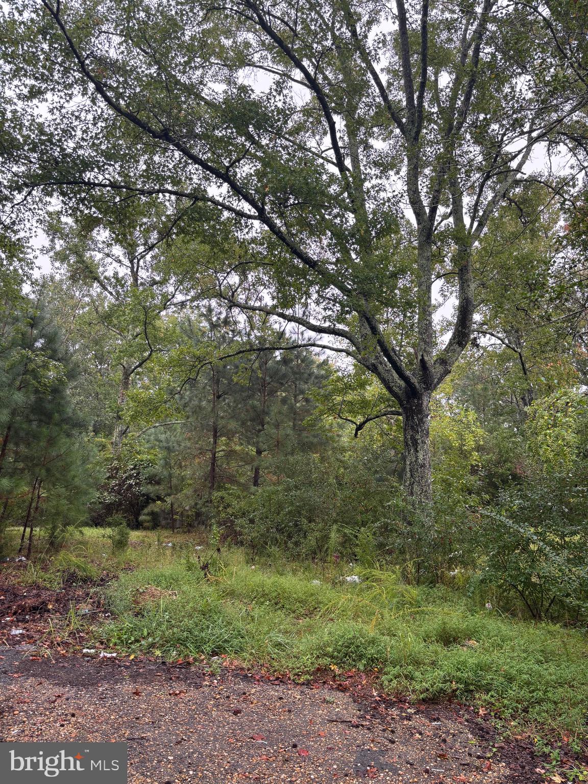 NONE AVAILABLE - Land