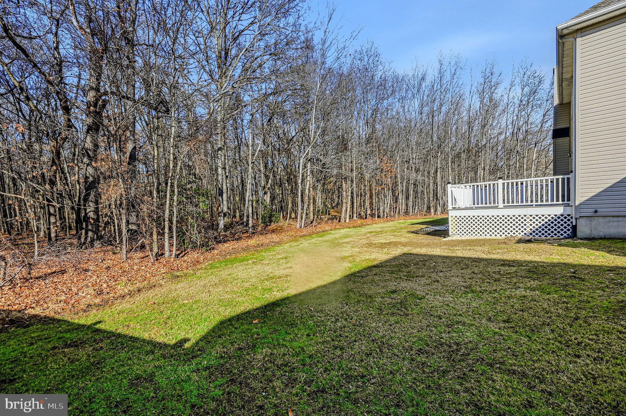 SALEM TRACE - Residential