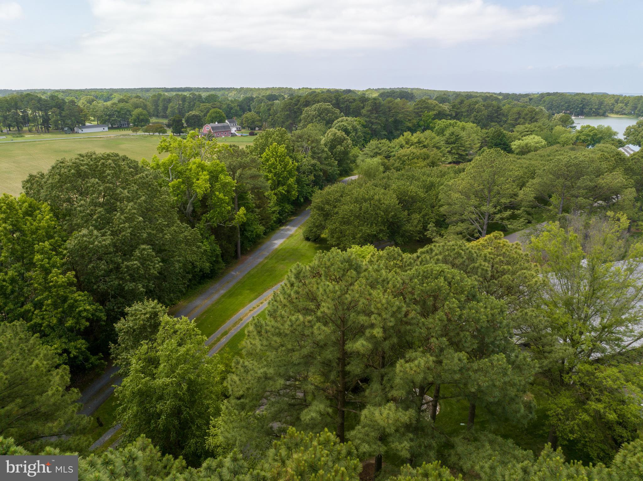 ROYAL OAK - Residential