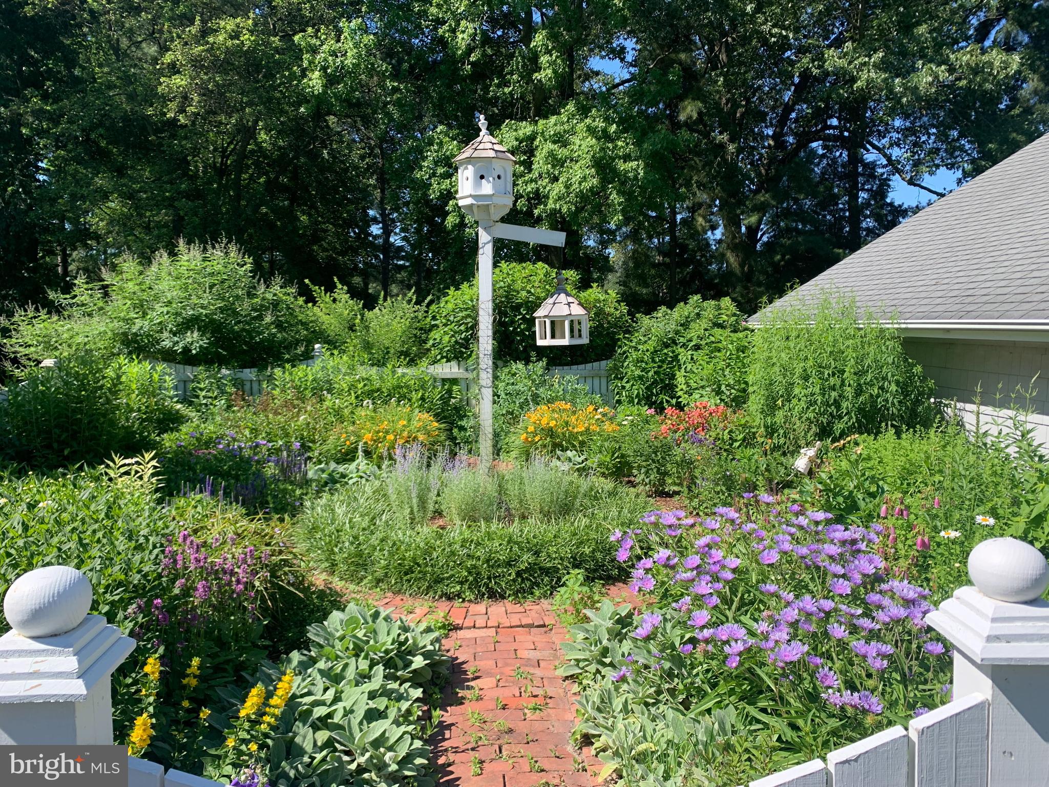 ROYAL OAK - Residential