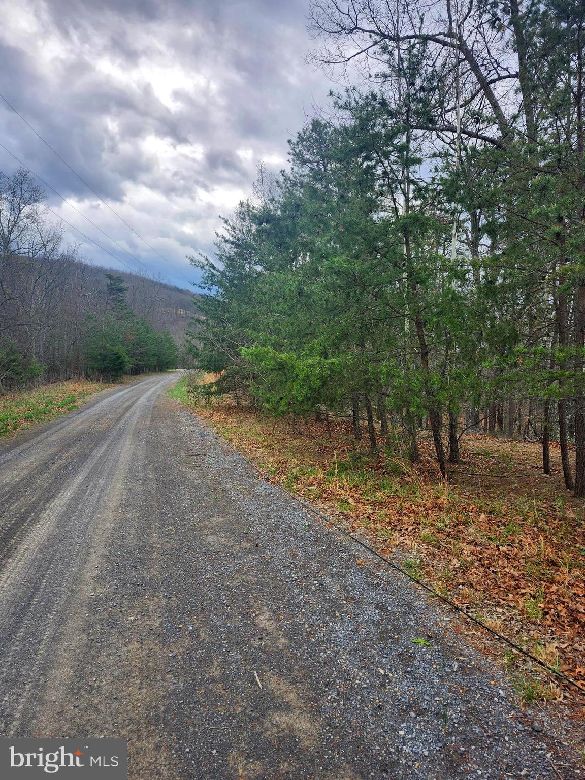 CARDINAL RIDGE ESTATES - Land