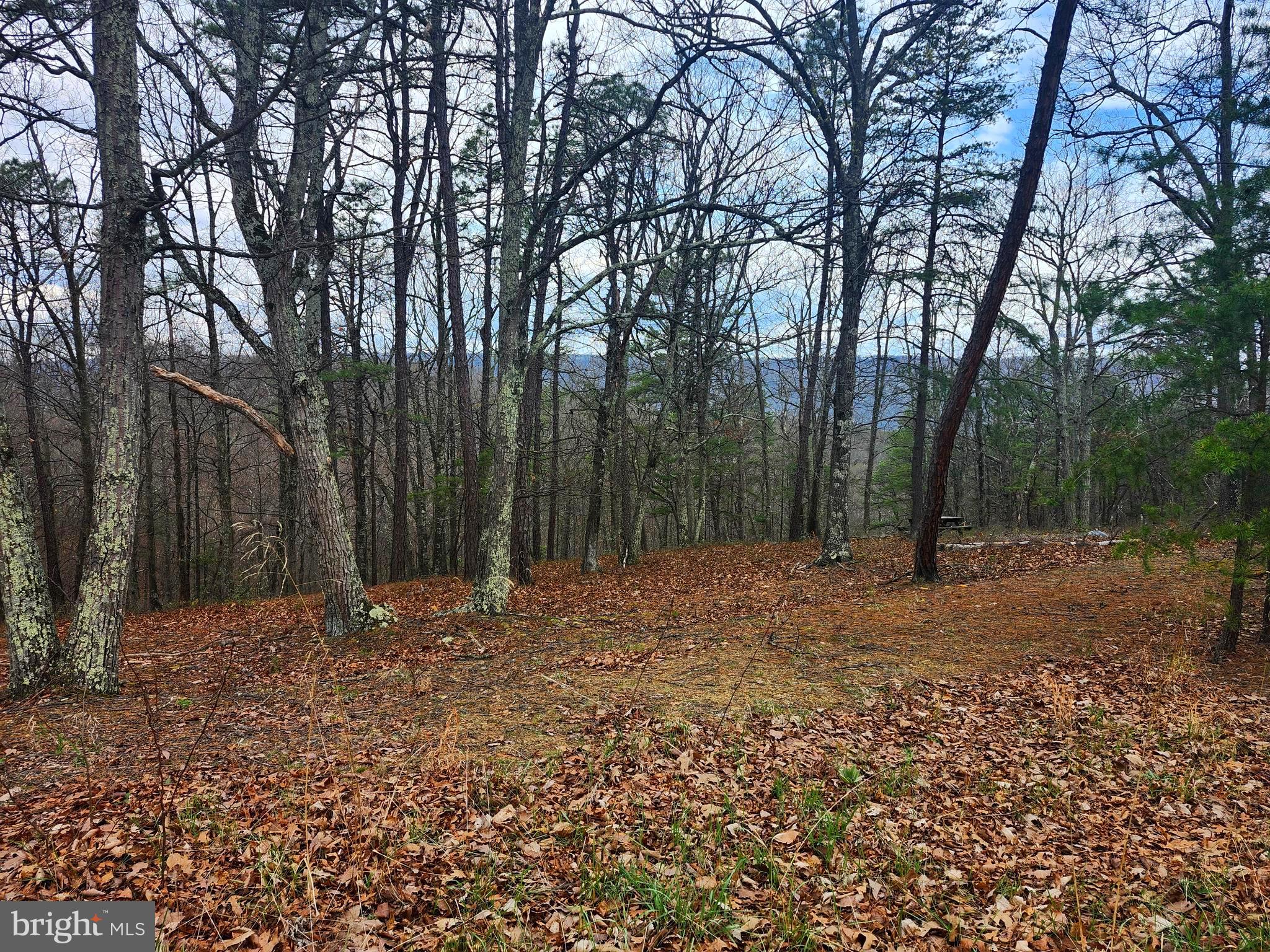 CARDINAL RIDGE ESTATES - Land