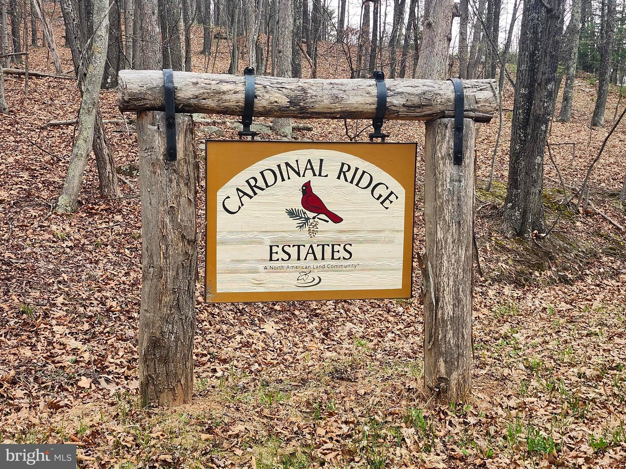 CARDINAL RIDGE ESTATES - Land