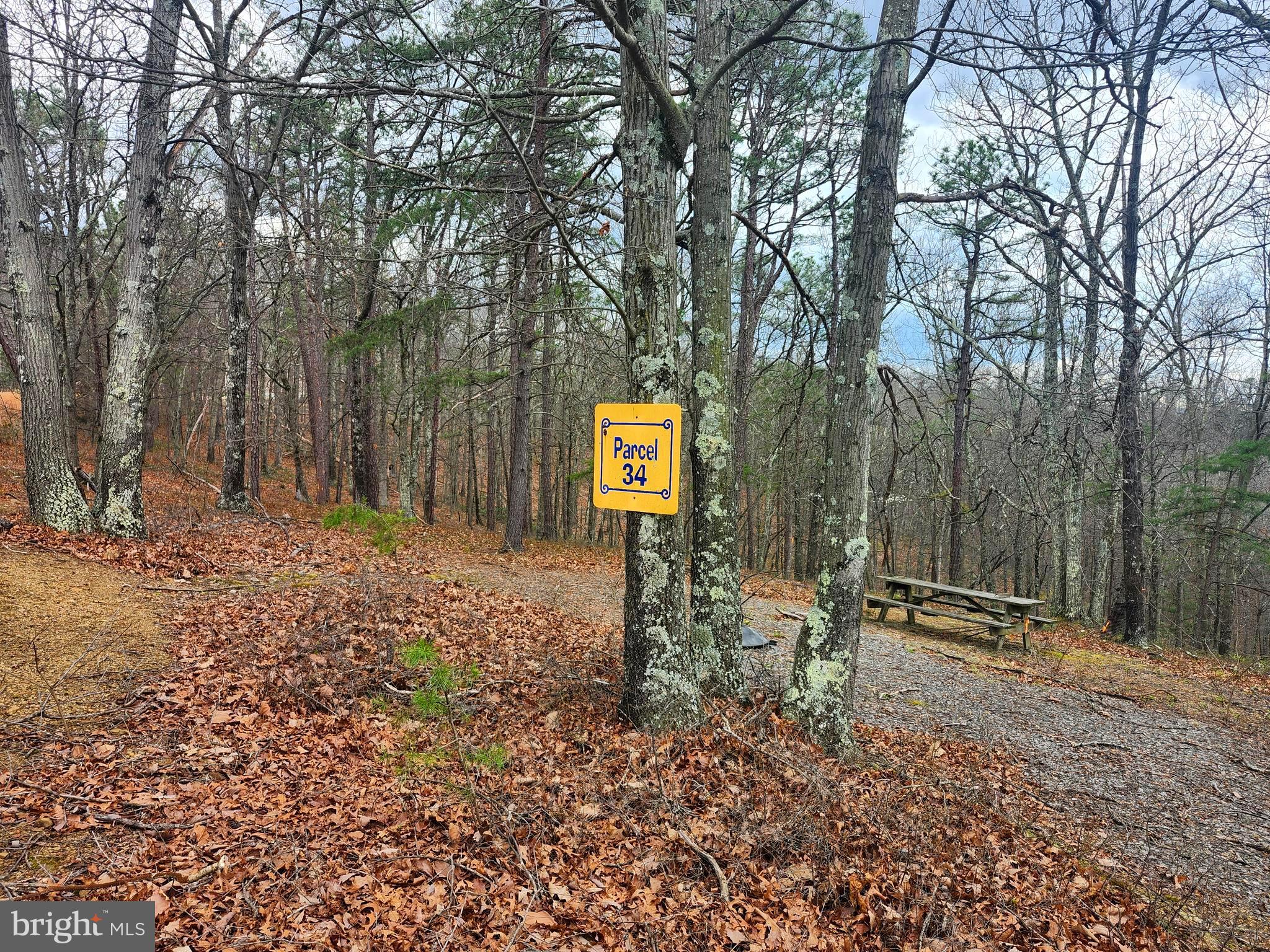 CARDINAL RIDGE ESTATES - Land