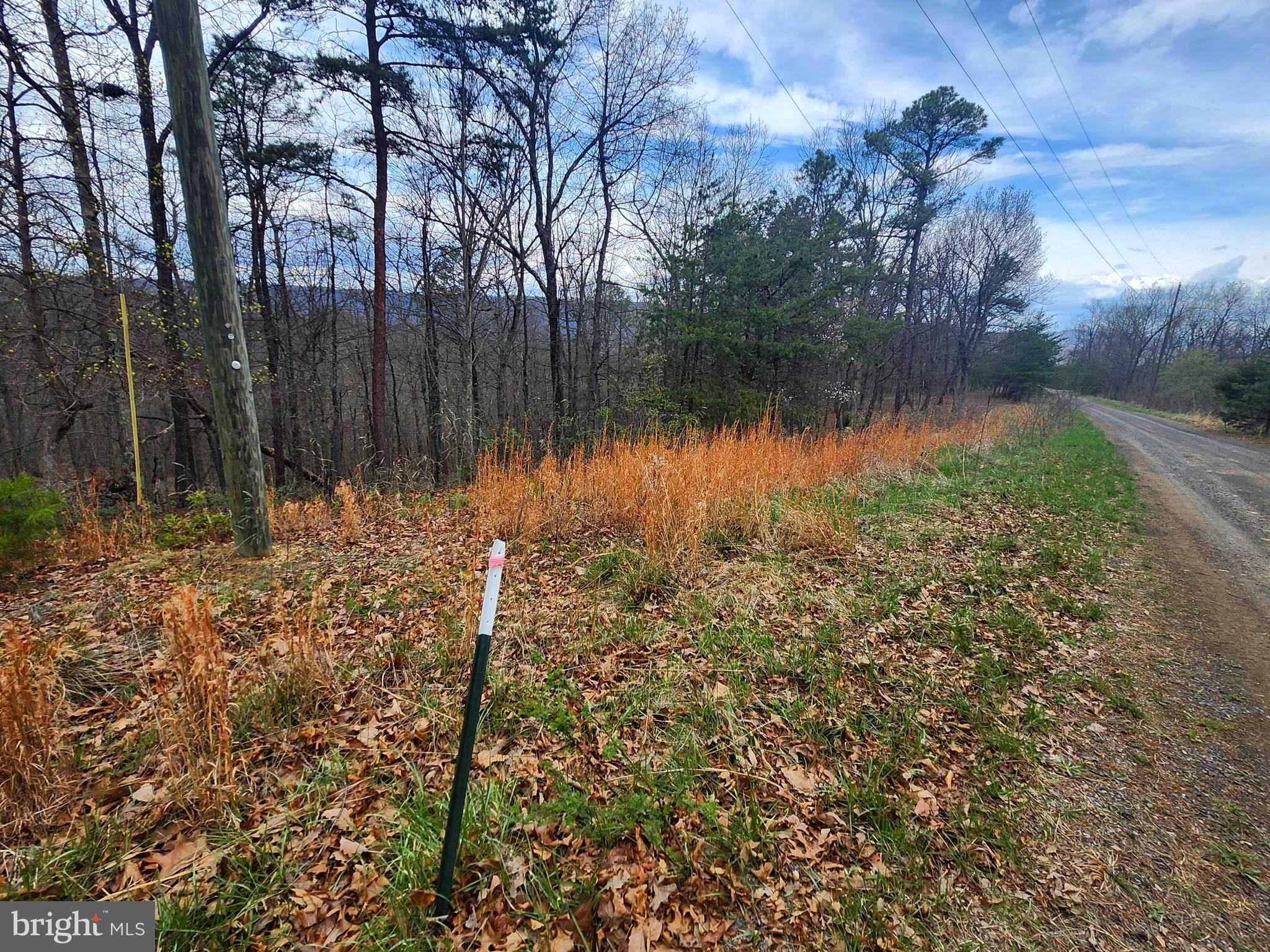 CARDINAL RIDGE ESTATES - Land