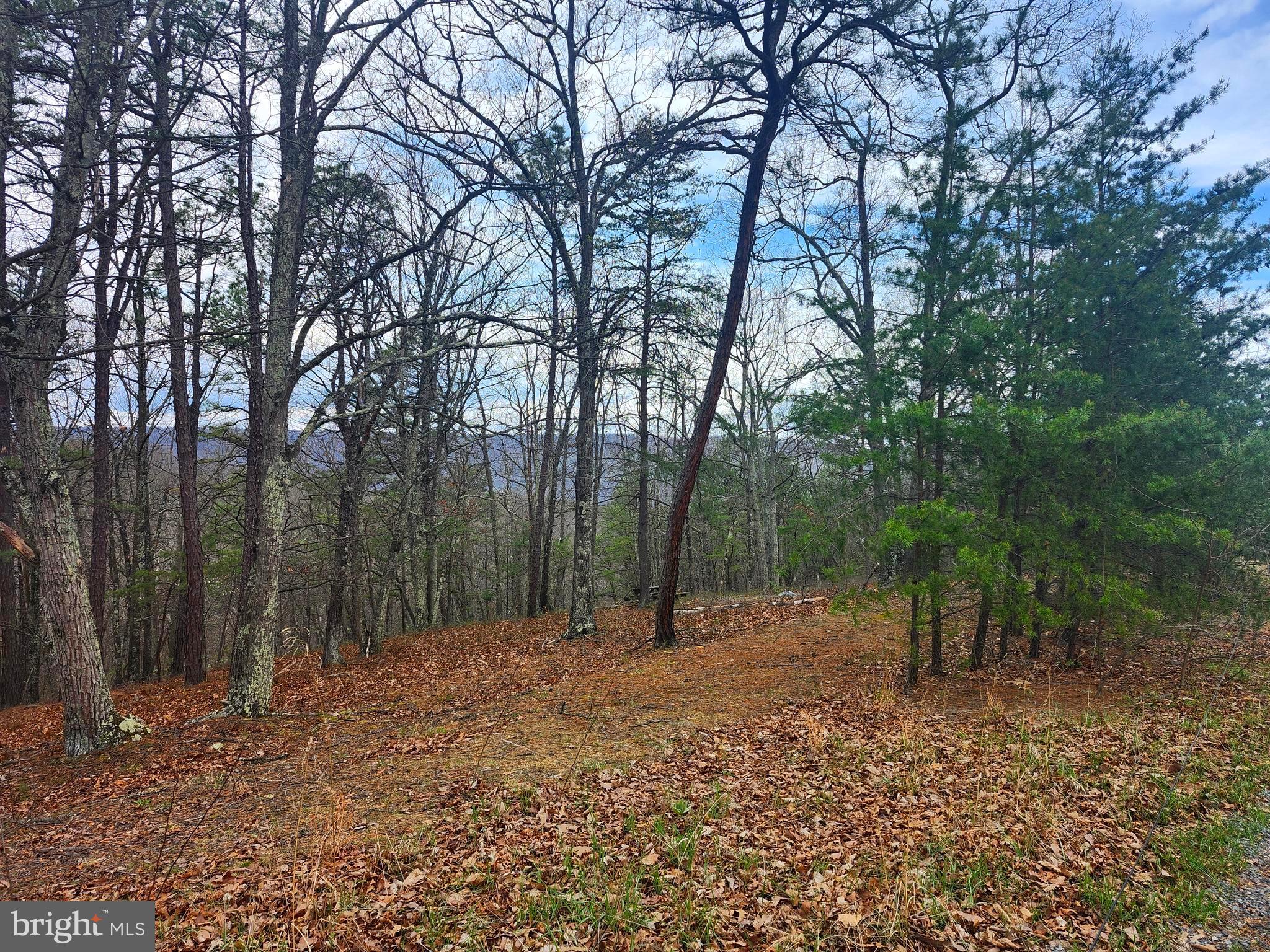 CARDINAL RIDGE ESTATES - Land