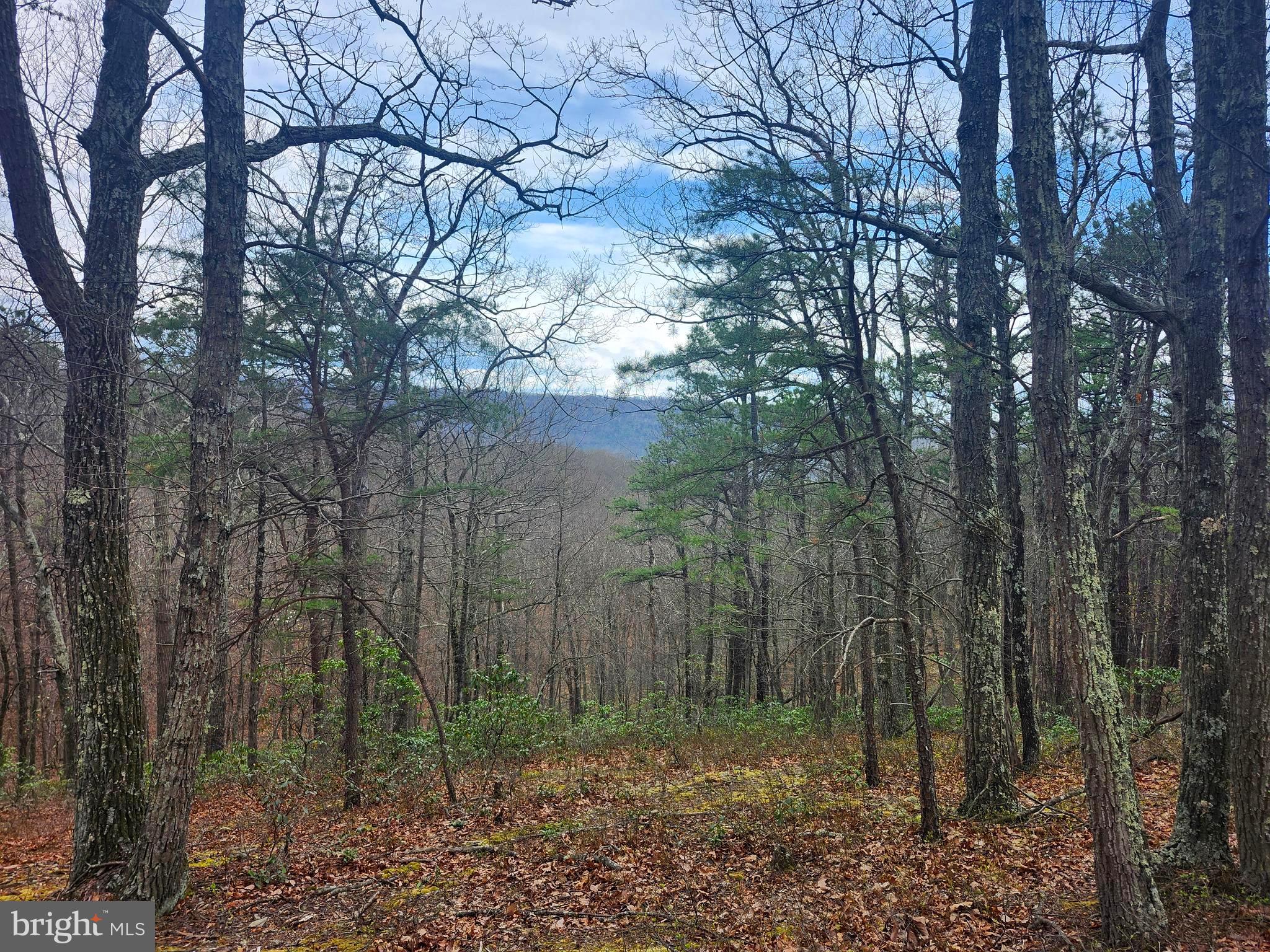 CARDINAL RIDGE ESTATES - Land