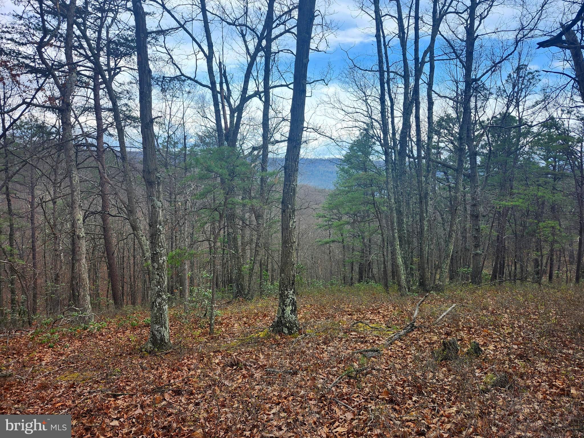 CARDINAL RIDGE ESTATES - Land