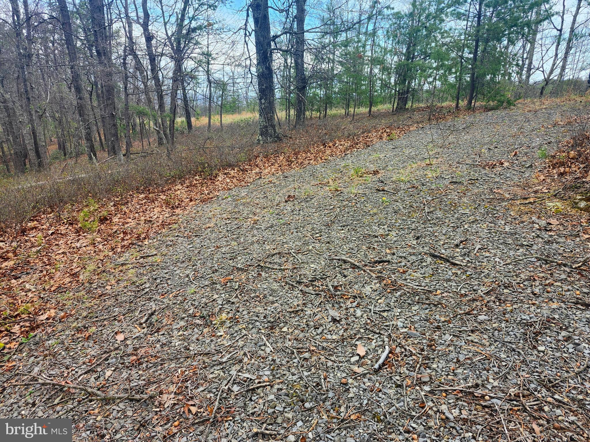 CARDINAL RIDGE ESTATES - Land