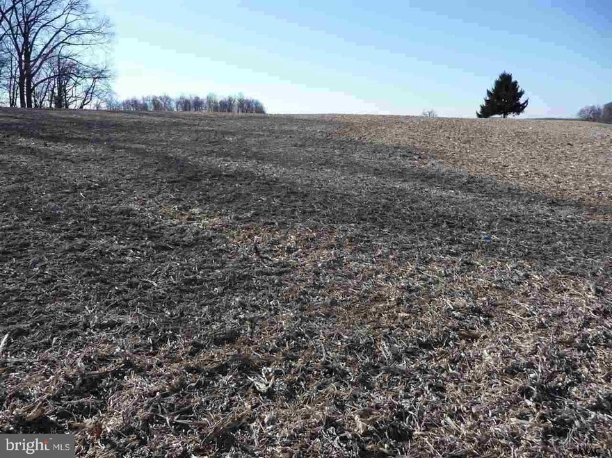 Nice clear 1.674 Acre lot in Fawn Township, Southern York County. Approximately 17 Miles to Bel Air MD. 14 Miles to Exit 4 I-83. Location is between 452 & 500 Graceton Rd. Currently used as cropland. Mobiles & doublewides are OK
