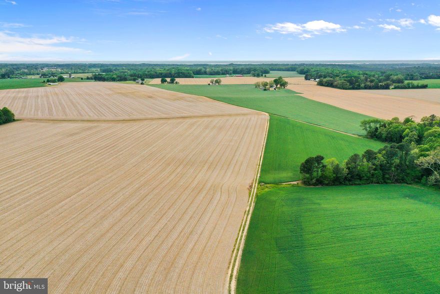 The offering of Holly Grove Farm, located on Menokin Road, just minutes from the revitalized community of Warsaw, presents an extremely rare buying opportunity! A vast pastoral landscape features farm roads throughout the property providing access to every part of the acreage.   Wildlife abounds here.  A portion of the property is bordered by Webb Creek which meanders about on an eastern section of the property.  Holly Grove Farm is comprised of Six Tax Map Parcels including TM16-57, 16-46, 16-2-2, 16-2-3, 17-18 and 17-19.  See boundary survey which details the various Tax Map Parcels being offered in this listing. Ideally suited for a variety of uses, including winery, continued farm, residential and hunting preserve potential. The charming and vibrant small town of Warsaw features a warm community, notable Restaurants, (including Relish), a Tap House, Bakery, Jeweler, Ace Hardware, Commonwealth Florist, Boutiques, Banks and so much more.  A multitude of festivals, special events, historic sites, farmers markets, wineries, public boat landings, marinas and more - provide endless opportunities for enjoying the natural and cultural resources of the region.