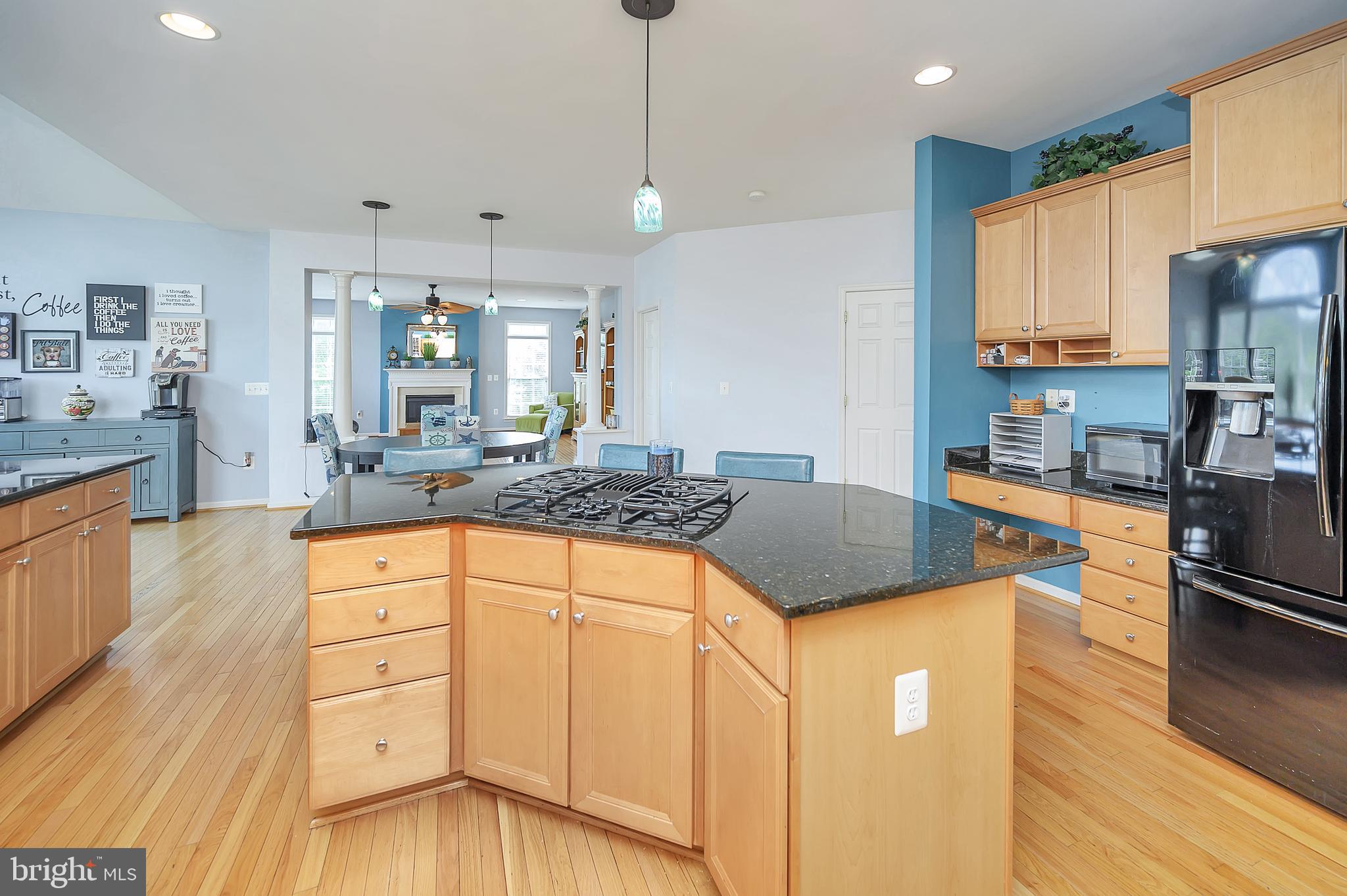 LEELAND STATION - Residential