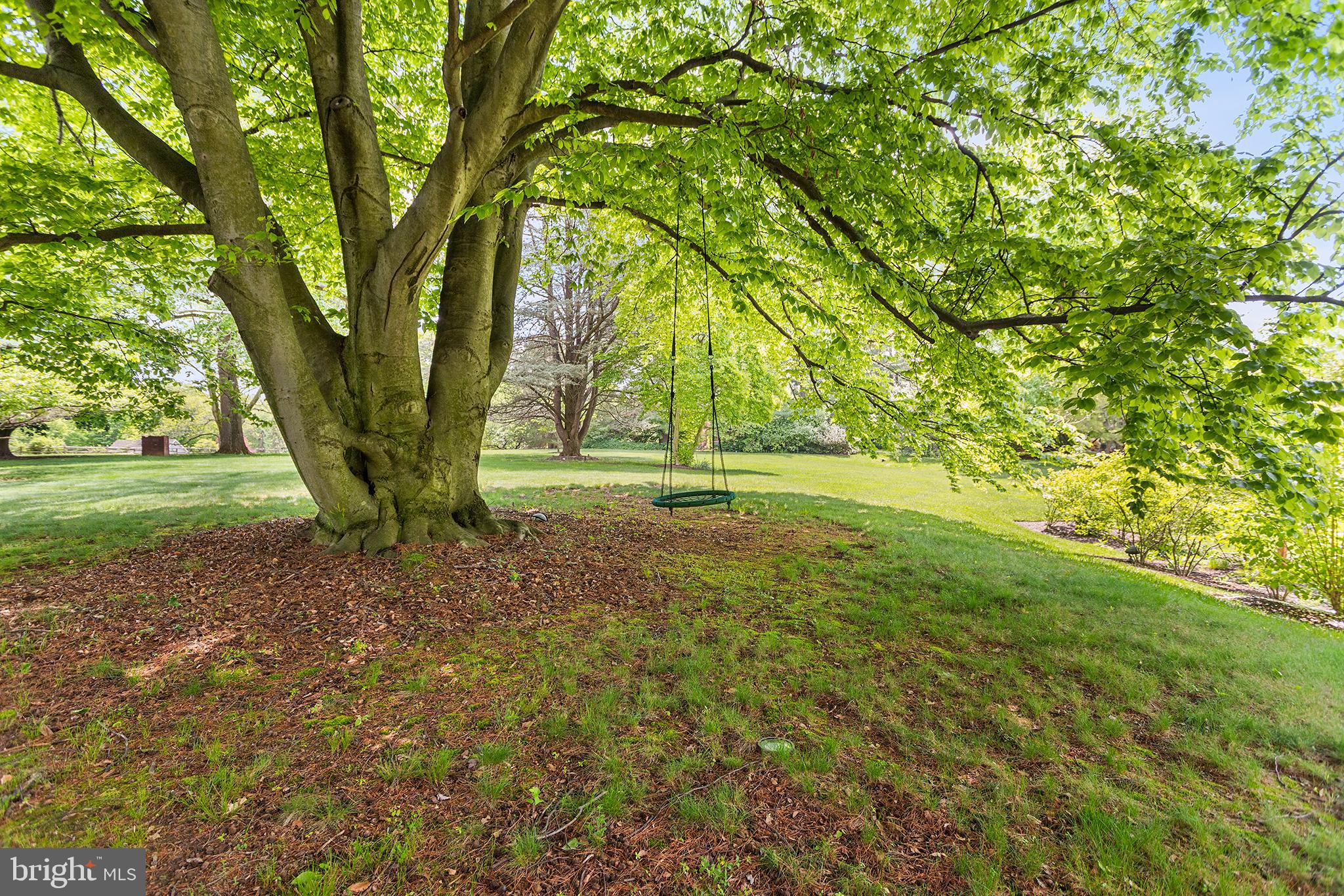 RADNOR HUNT - Residential