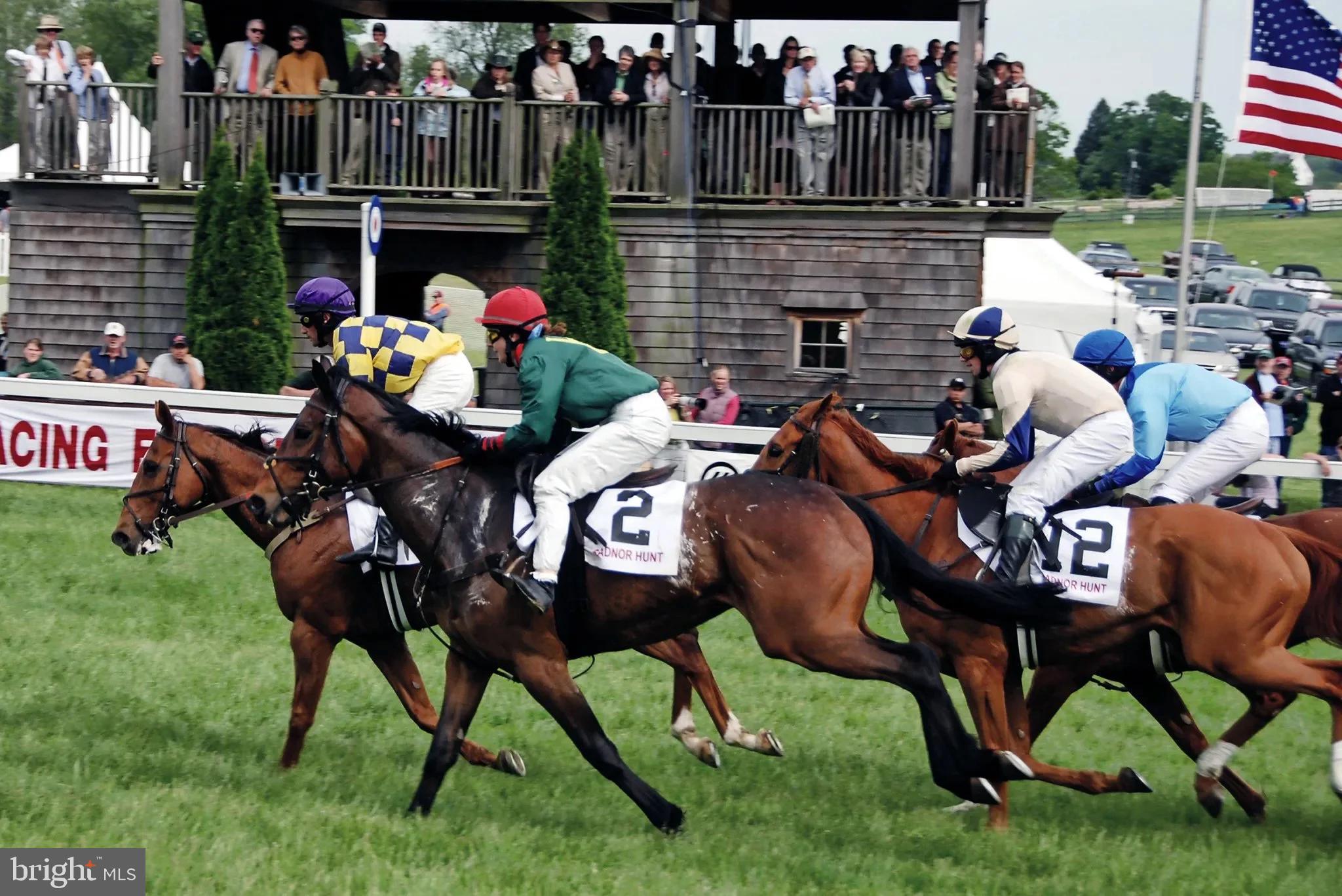RADNOR HUNT - Residential