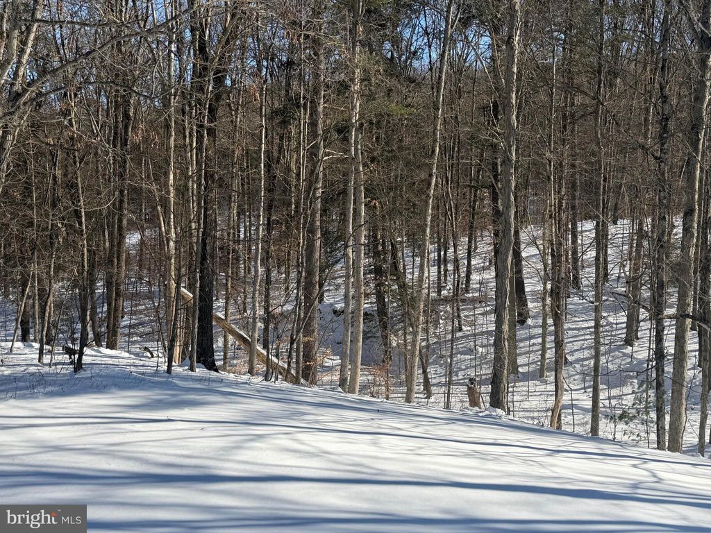 Photo of 425 Cider Press Road, LOCK HAVEN, PA 17745 (MLS # PACL2025392)