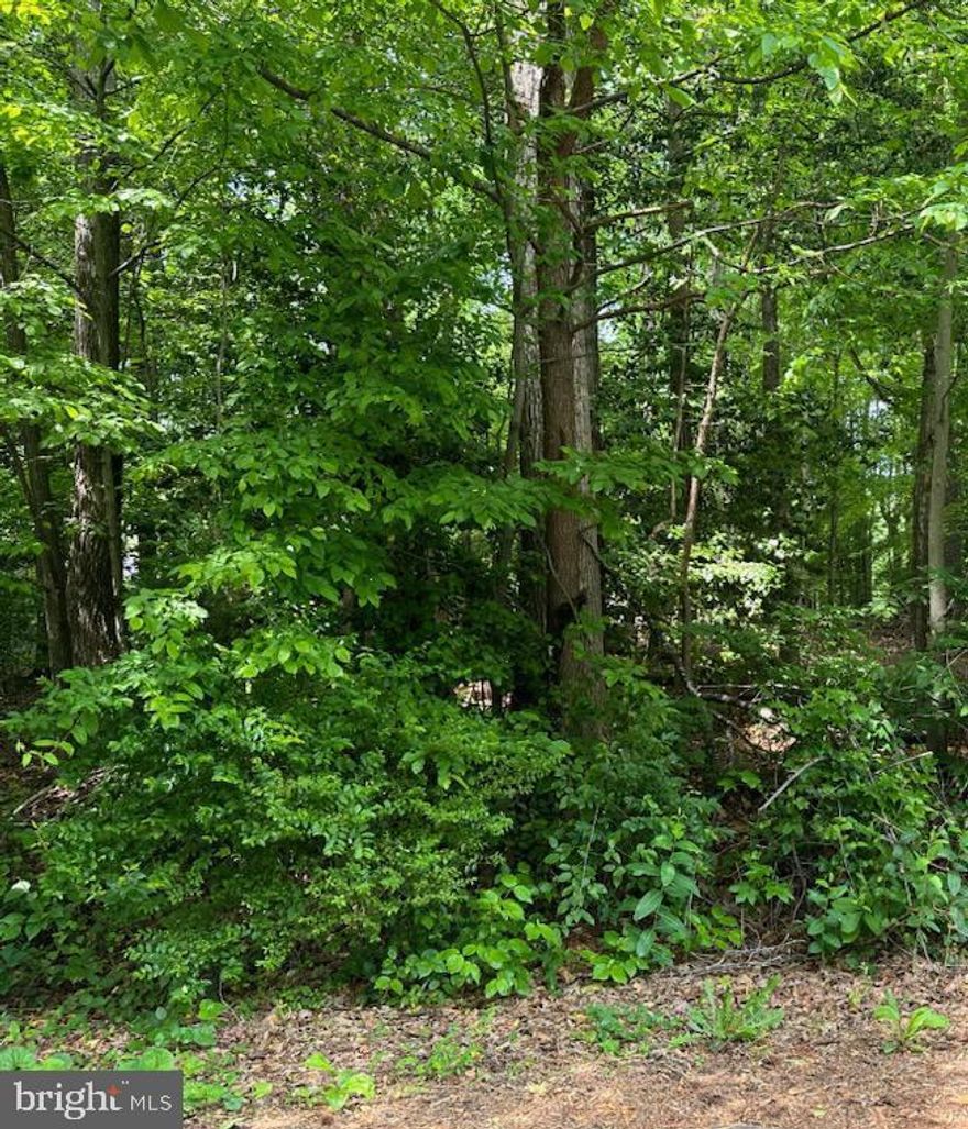 716 War Bonnet Nice flat lot with good perc and buildable up to 2999 SQFT