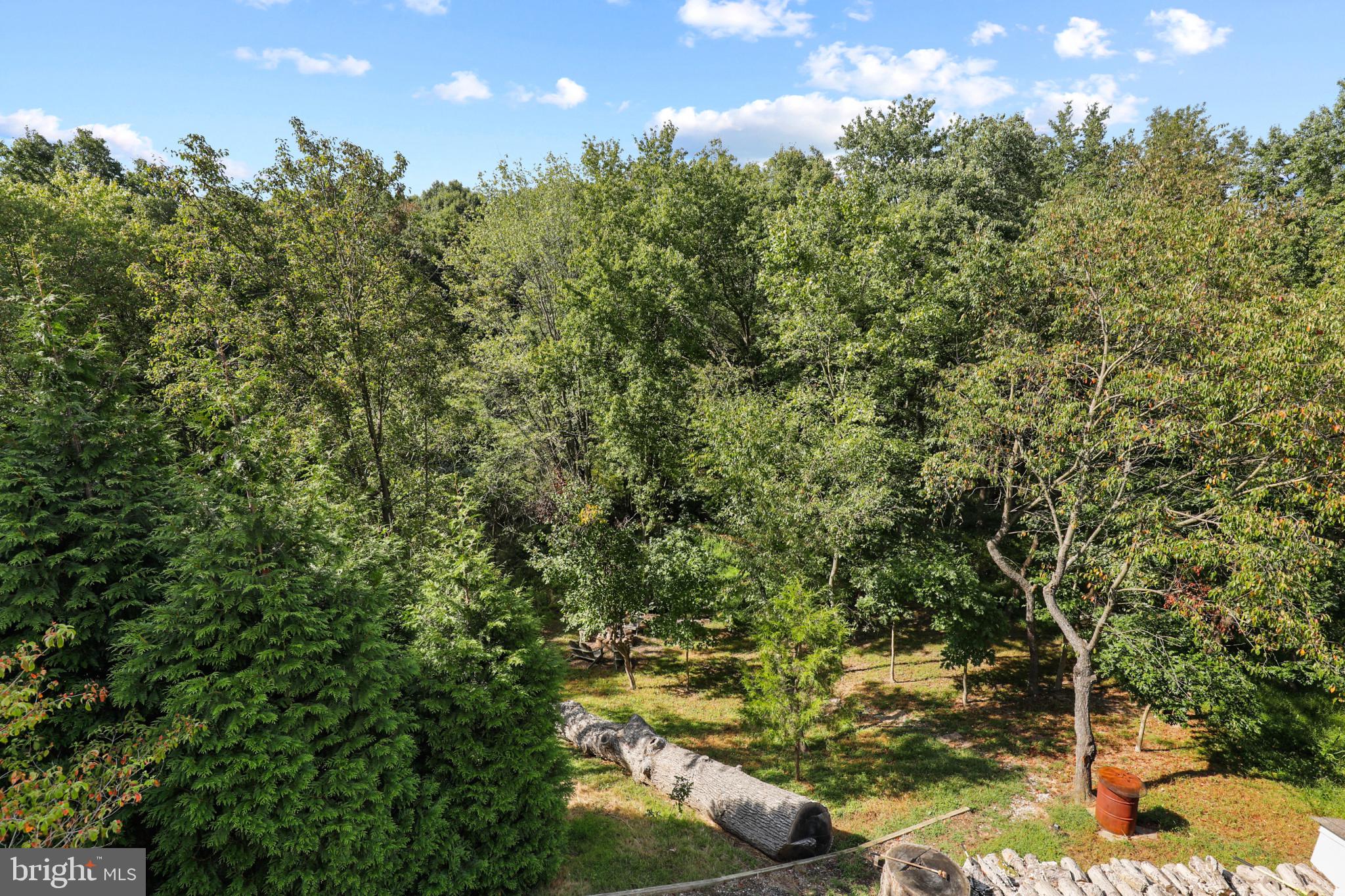 VILLAGE OF BYNUM RUN - Residential