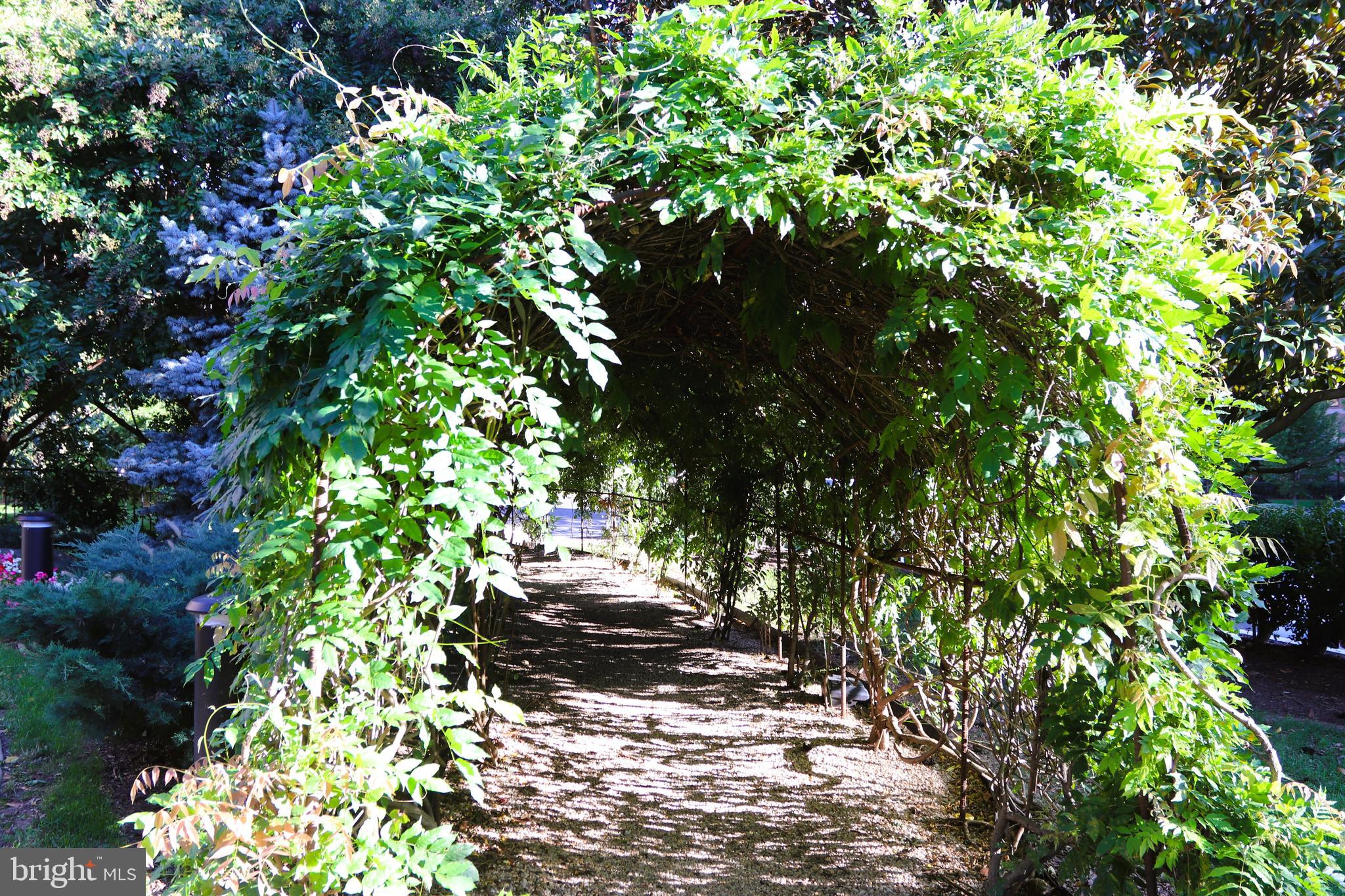 ROTONDA - Residential