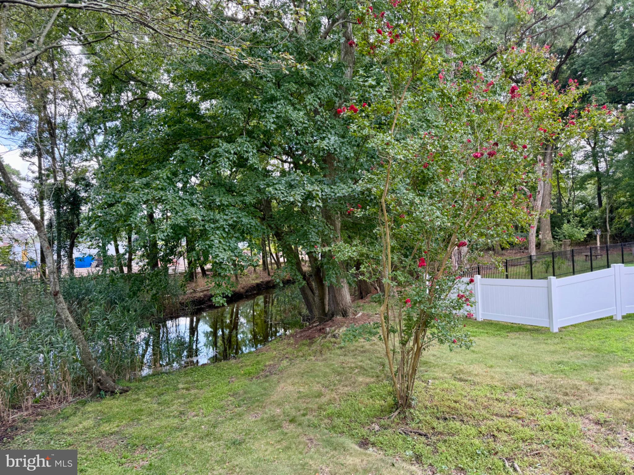 31834 MILL RUN DRIVE