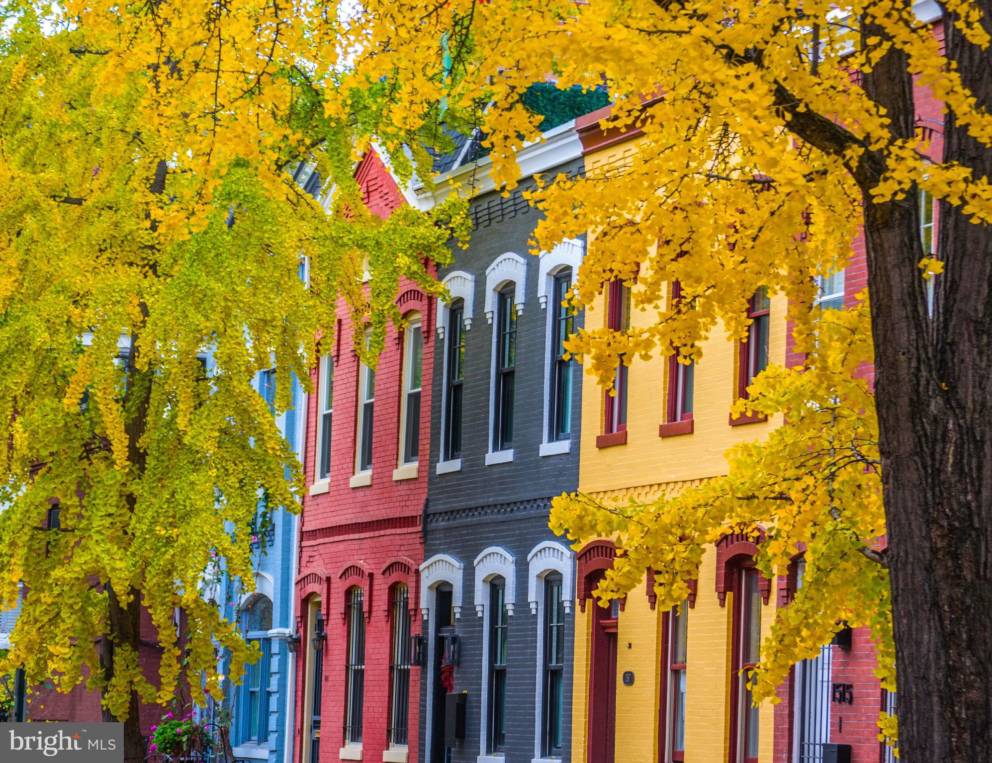 LOGAN CIRCLE - Residential