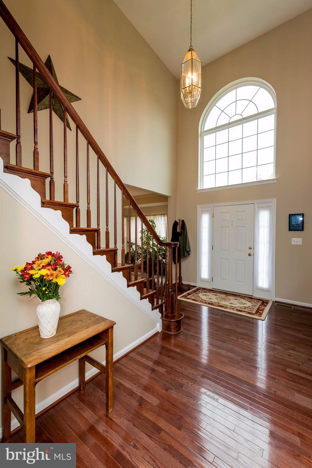 SARATOGA HUNT - Residential