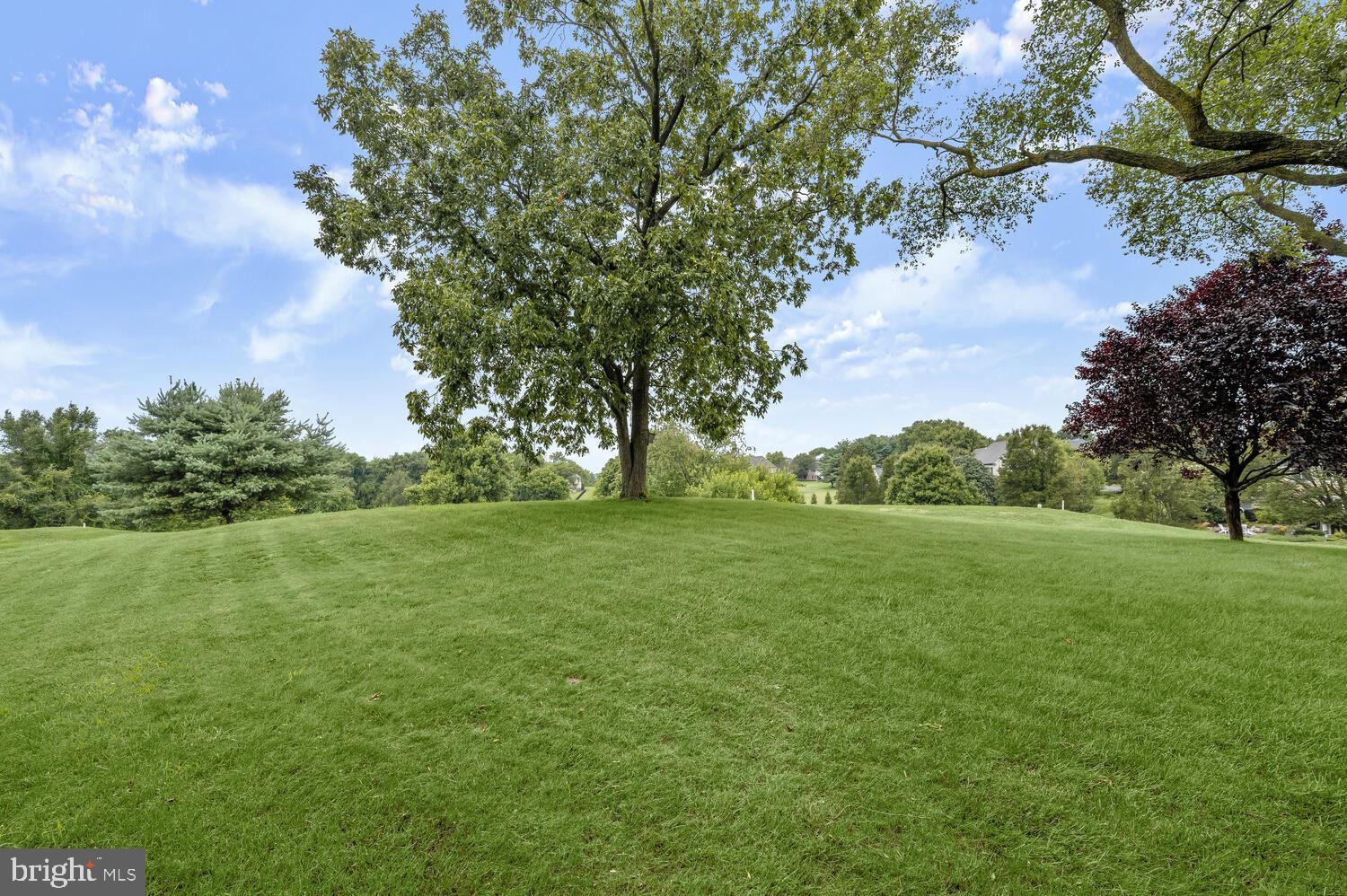 CATTAIL CREEK - Residential