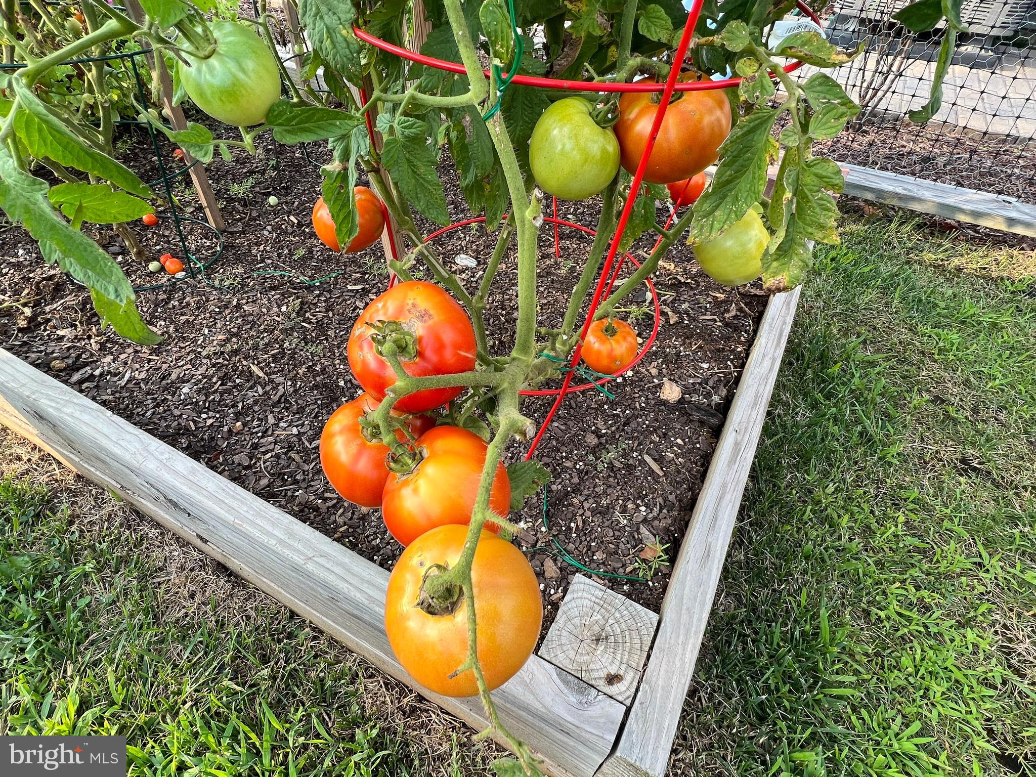 COURTS OF CLARKSBURG - Residential