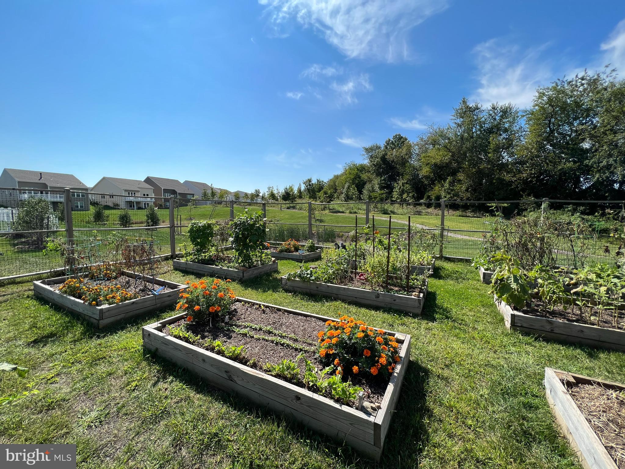 COURTS OF CLARKSBURG - Residential