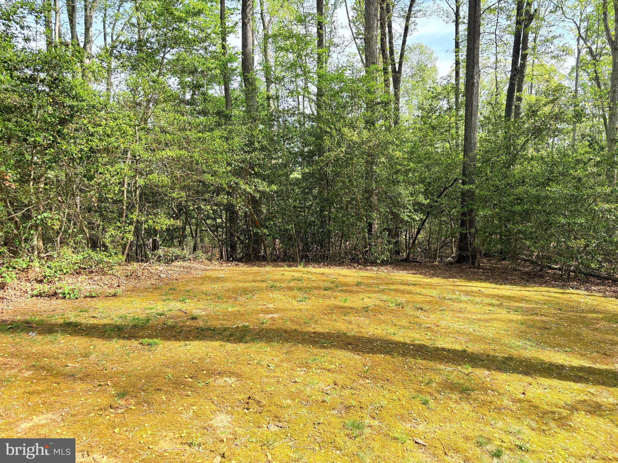 HOLLY GAF ACRES - Residential