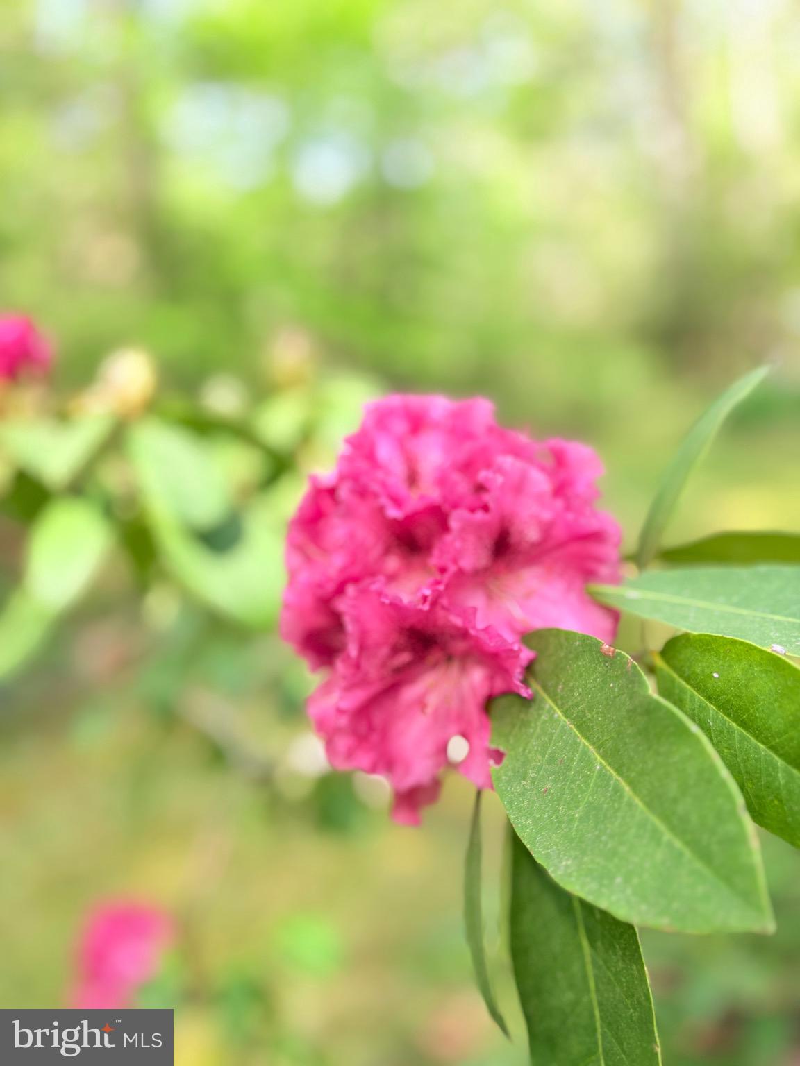 HOLLY GAF ACRES - Residential