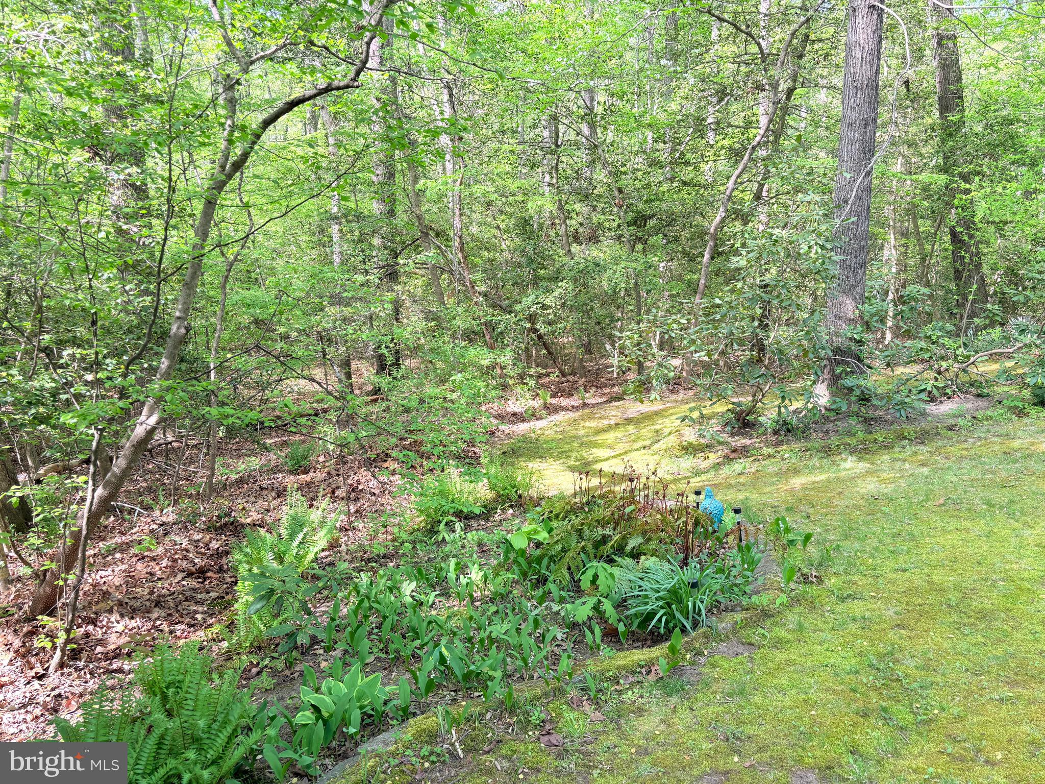 HOLLY GAF ACRES - Residential