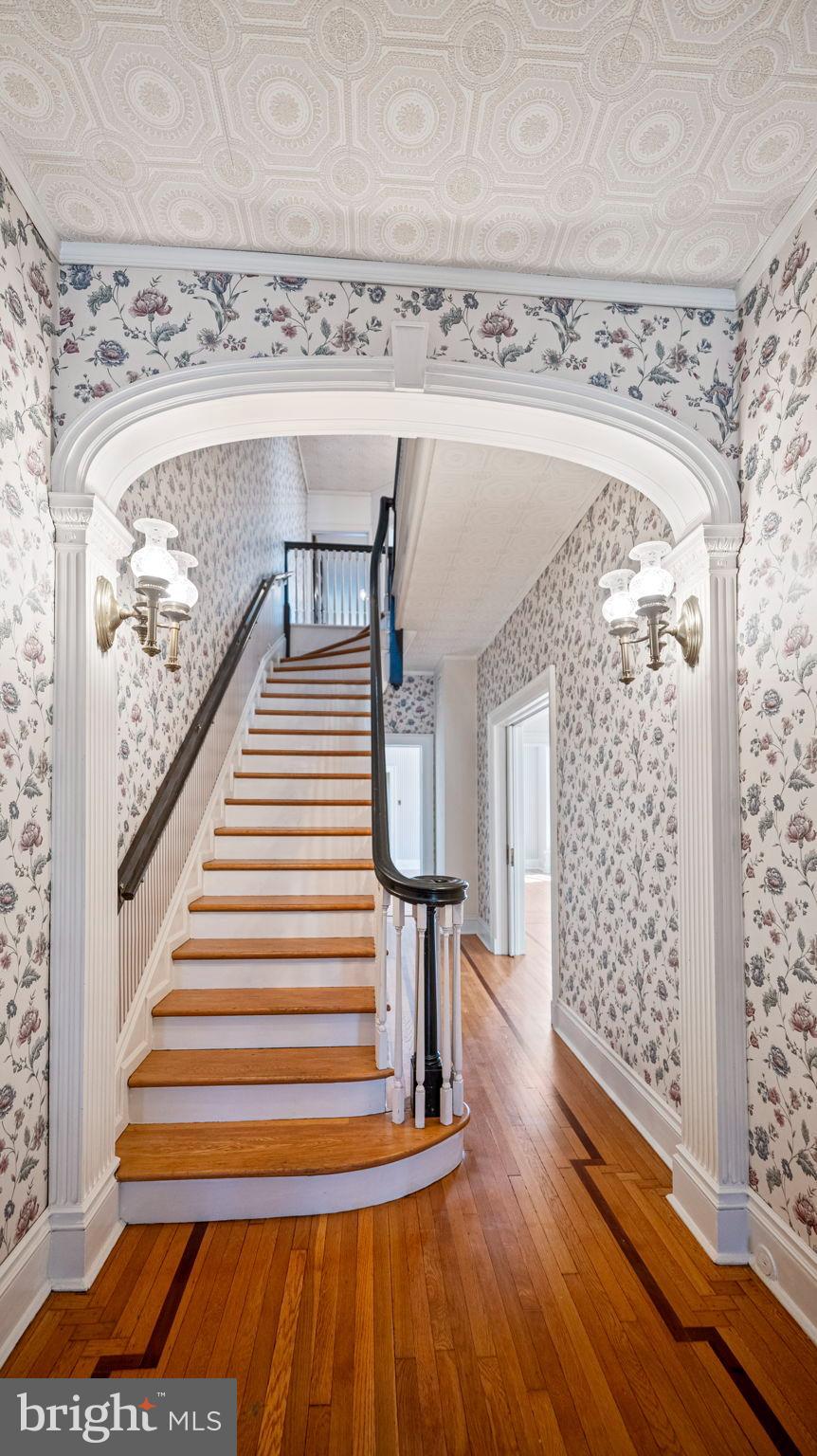 DOWNTOWN FREDERICK - Residential