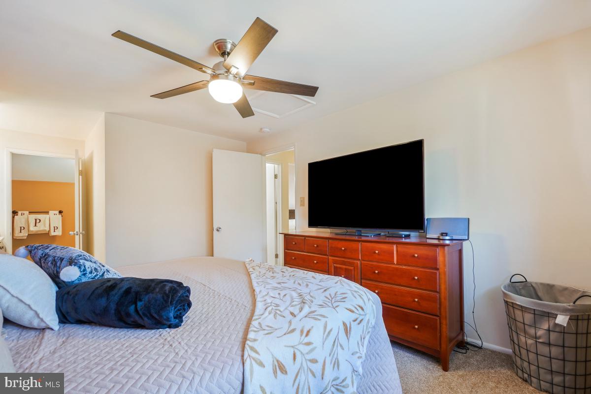 DUFIEF - Residential