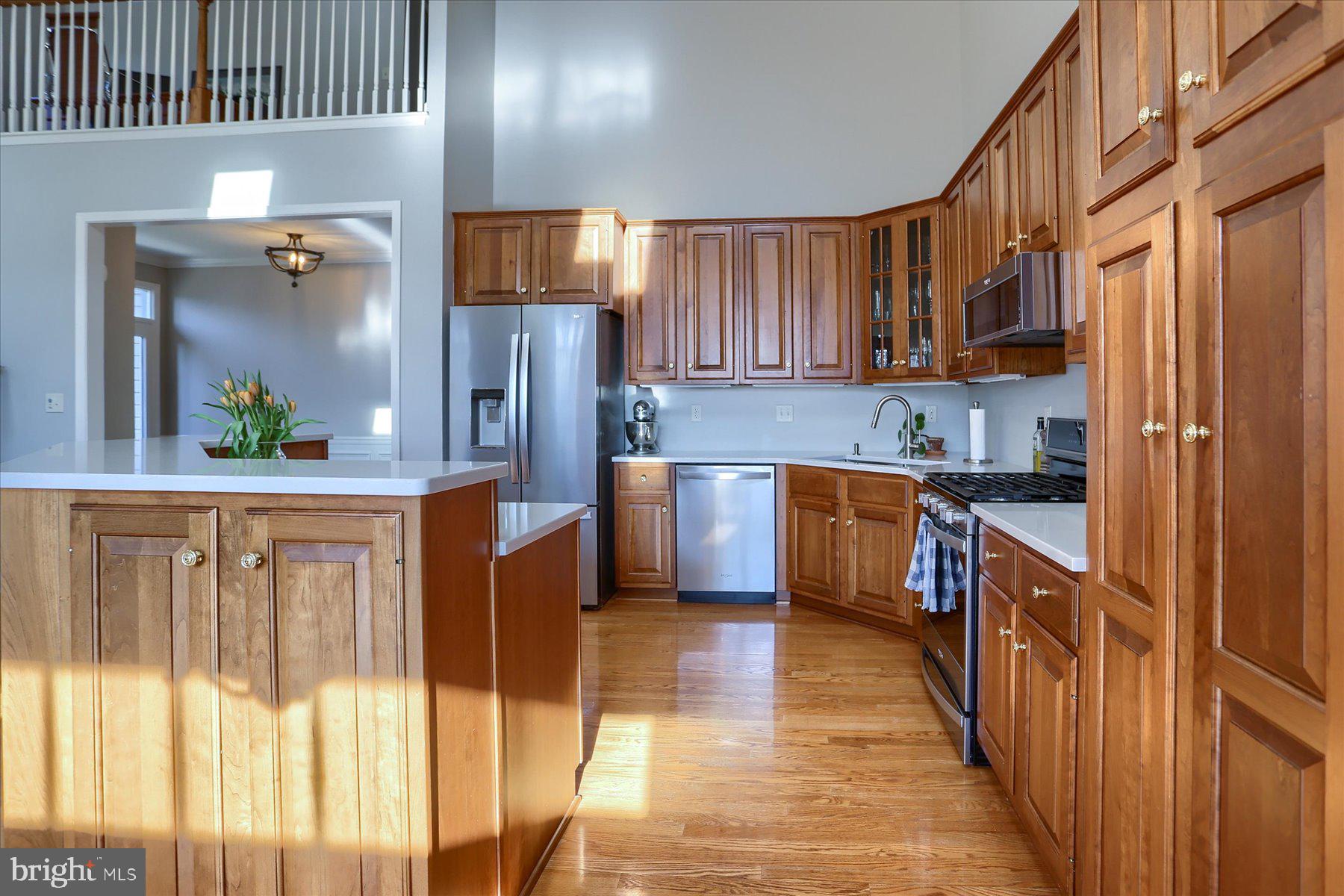 OLDE ORCHARD HILL - Residential