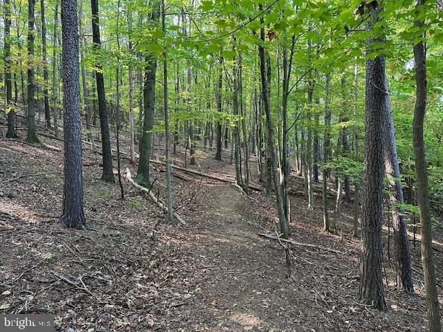 Prime 13.03-Acre Parcel Near Berkeley Springs, WV – Unlimited Potential! Discover the endless possibilities with this 13.03-acre wooded parcel just off Myers Road. With its natural, mountainous terrain, this property offers privacy, seclusion, and the perfect setting for a recreational retreat or a dream home. Unrestricted and offering access to public water, the land is ready for residential use, hunting, or future development. Conveniently located near Route 9 and the newly constructed bypass, you’ll enjoy easy access to the charming town of Berkeley Springs, as well as quick routes to I-81, Northern Virginia, and Washington, D.C. Whether you’re seeking a personal escape or considering its development potential, this rare parcel is an exceptional opportunity. Don’t miss out on this unique property – the possibilities are endless!